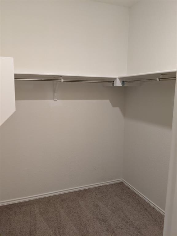 7414 Tuely Trl Property Photo 18