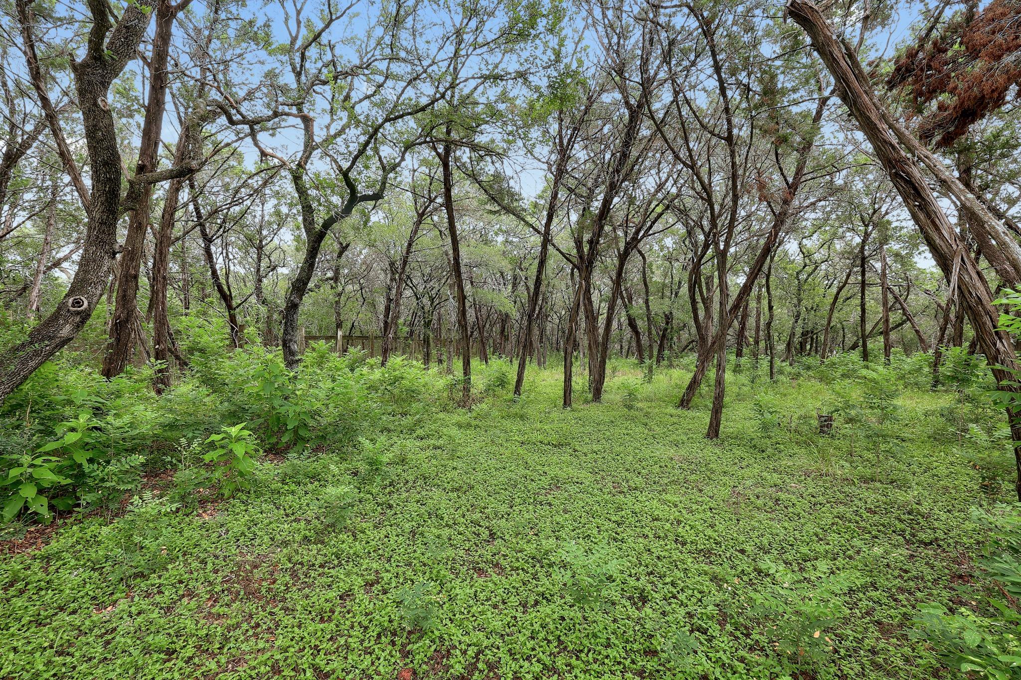 12403 Shady Acres Dr Property Photo 4