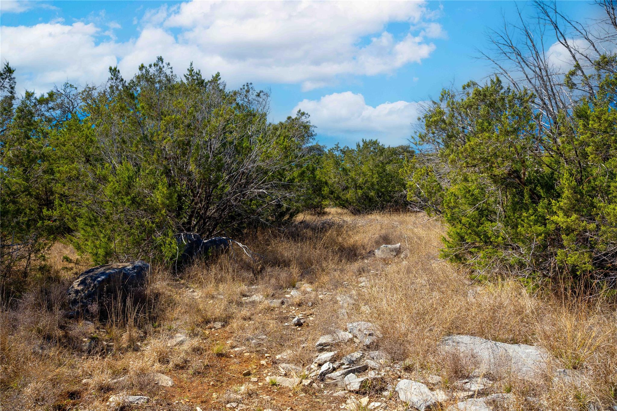 0 Pedernales Hills Rd Property Photo 15