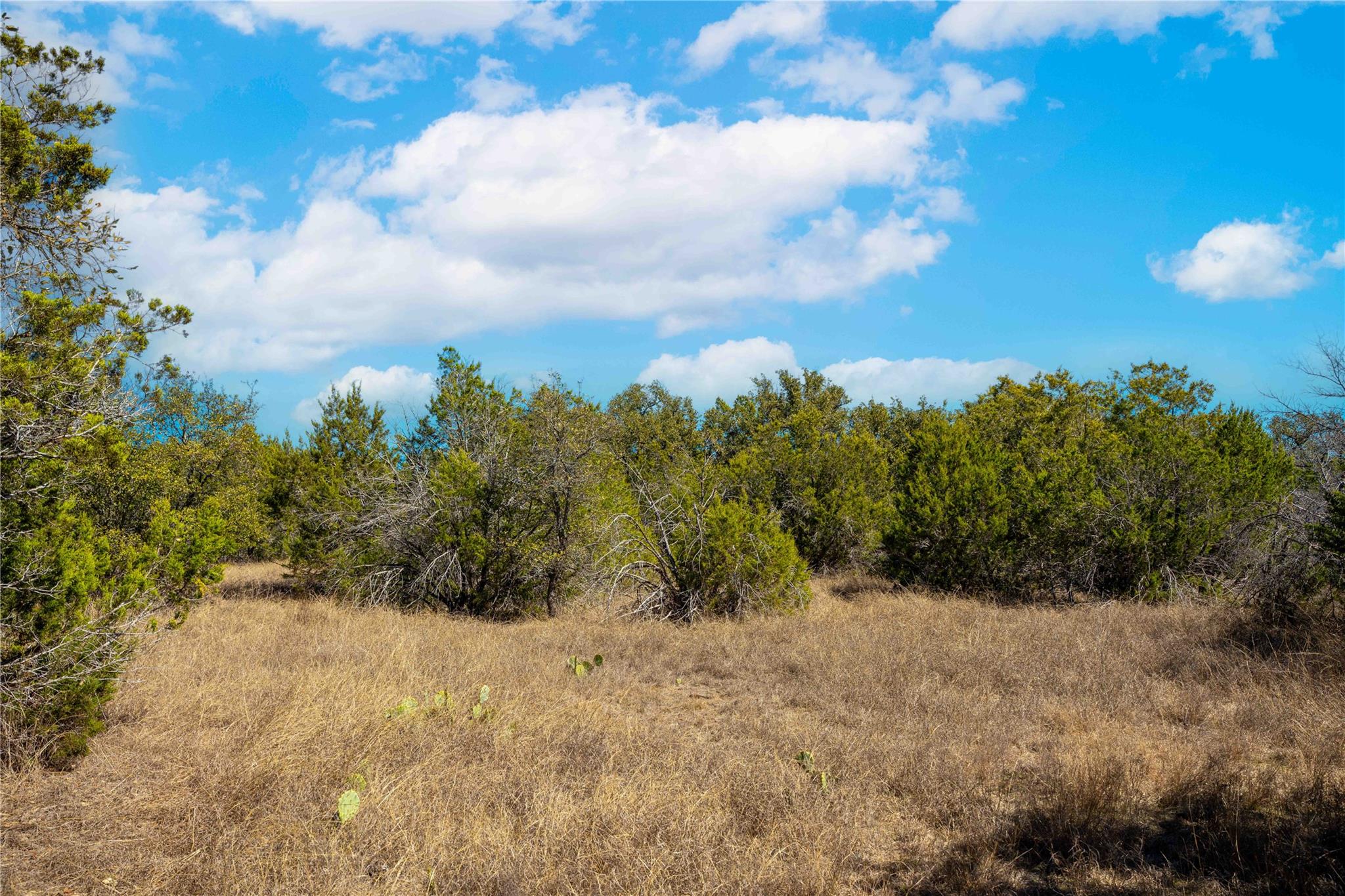 0 Pedernales Hills Rd Property Photo 16
