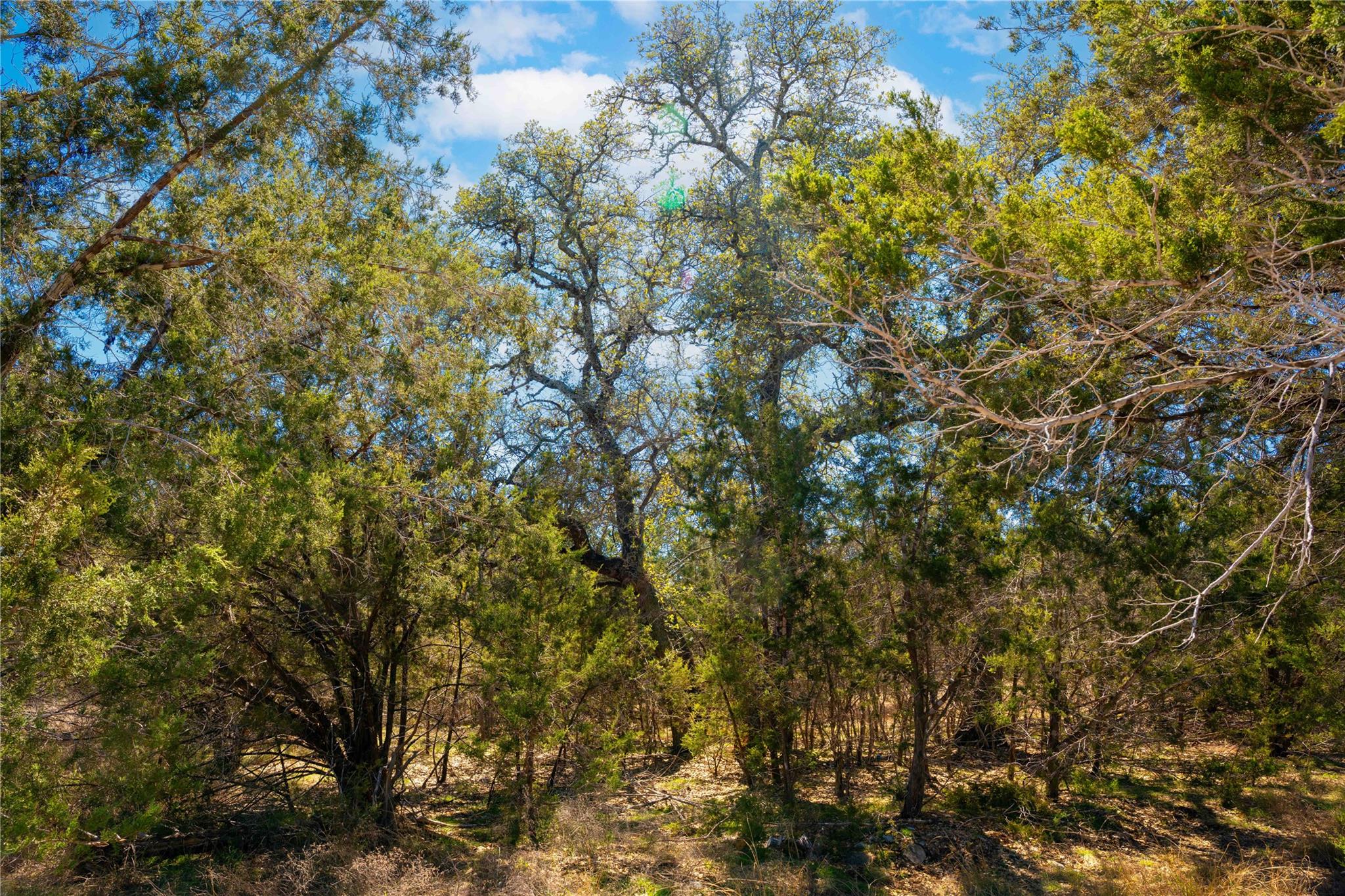 0 Pedernales Hills Rd Property Photo 18
