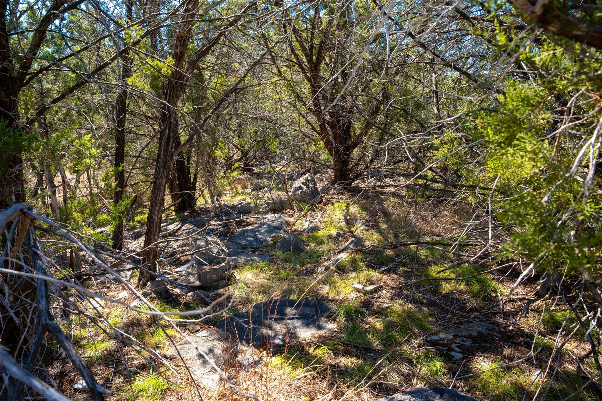 0 Pedernales Hills Rd Property Photo 19