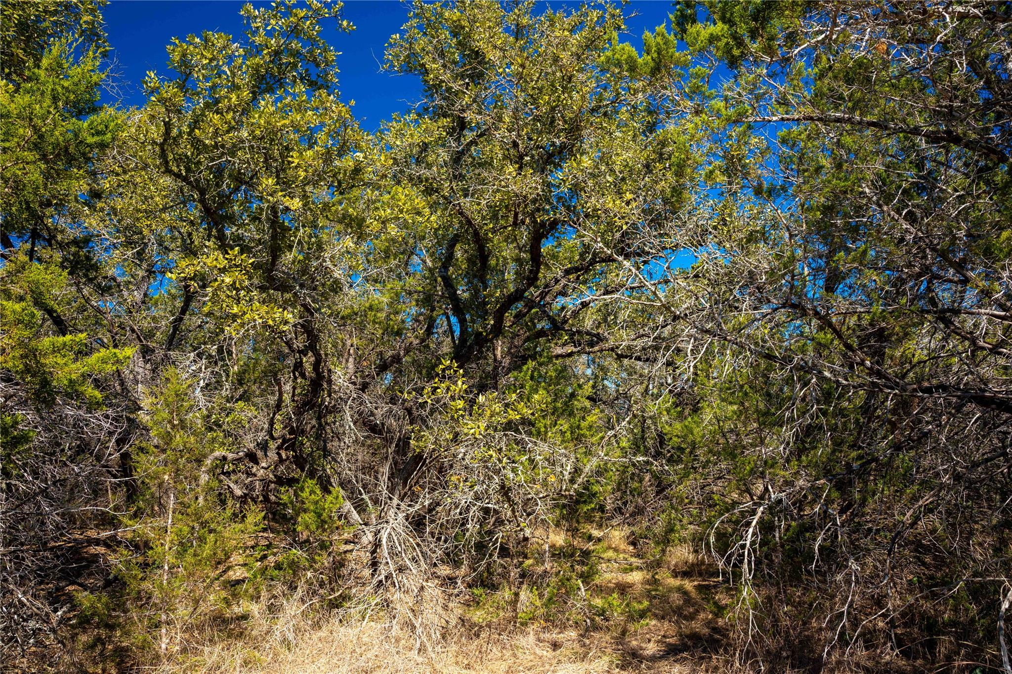 0 Pedernales Hills Rd Property Photo 20