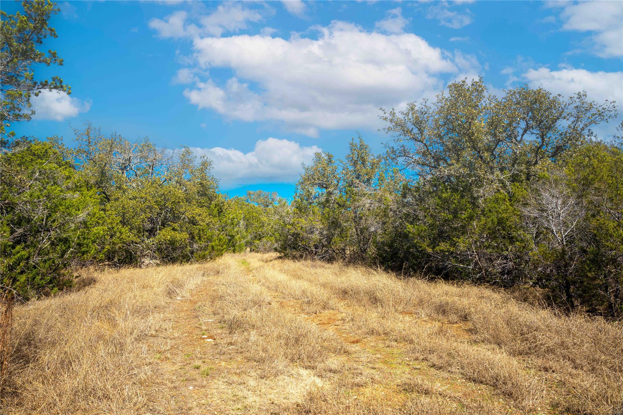 0 Pedernales Hills Rd Property Photo 30