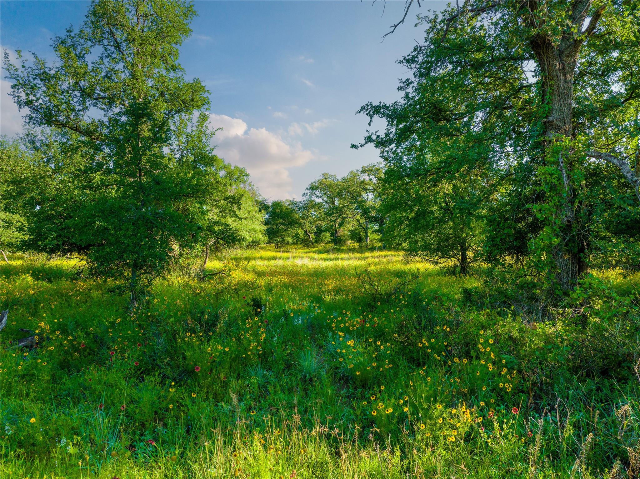 Tbd Cr 260 None Property Photo 14