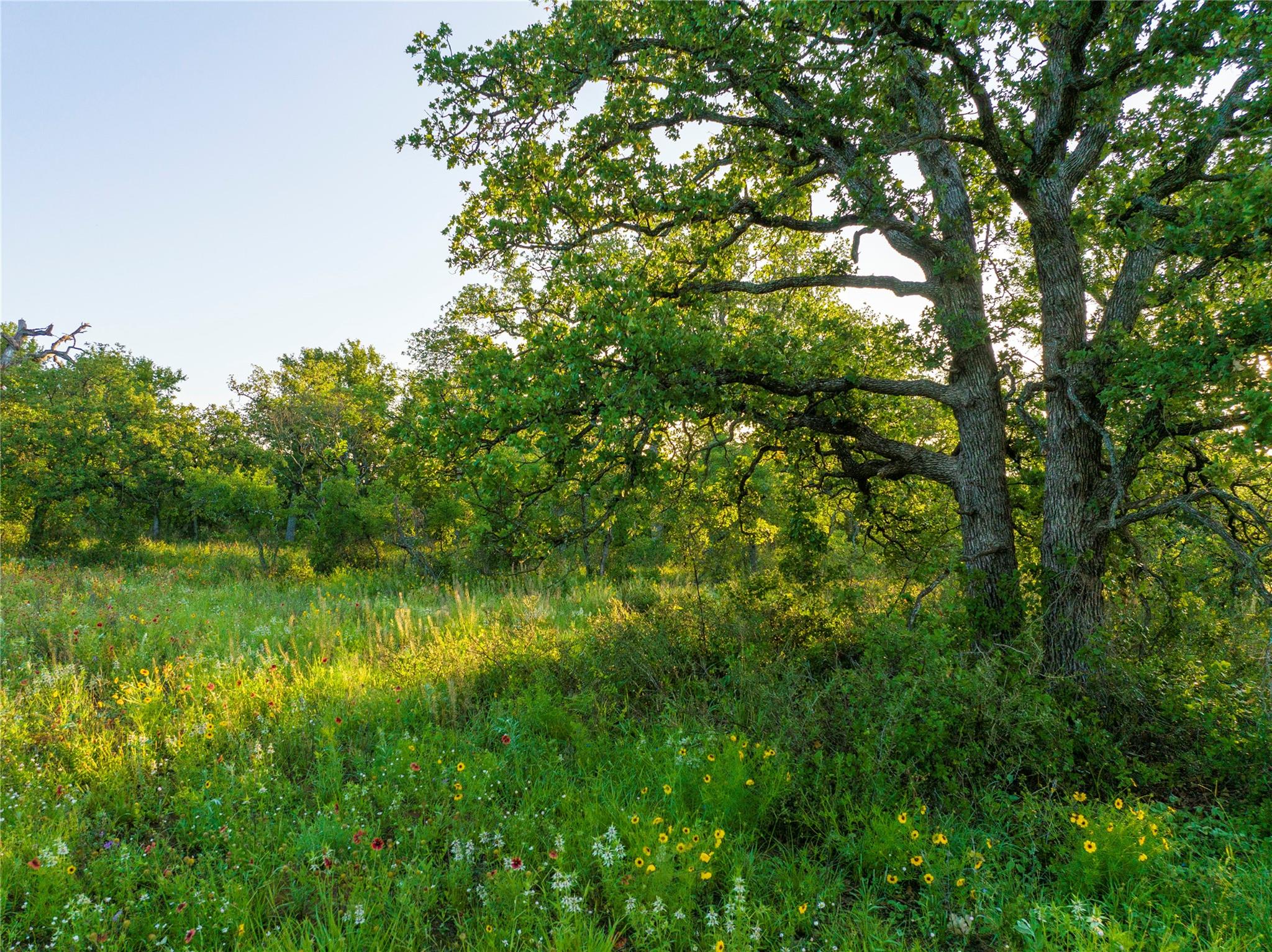 Tbd Cr 260 None Property Photo 15