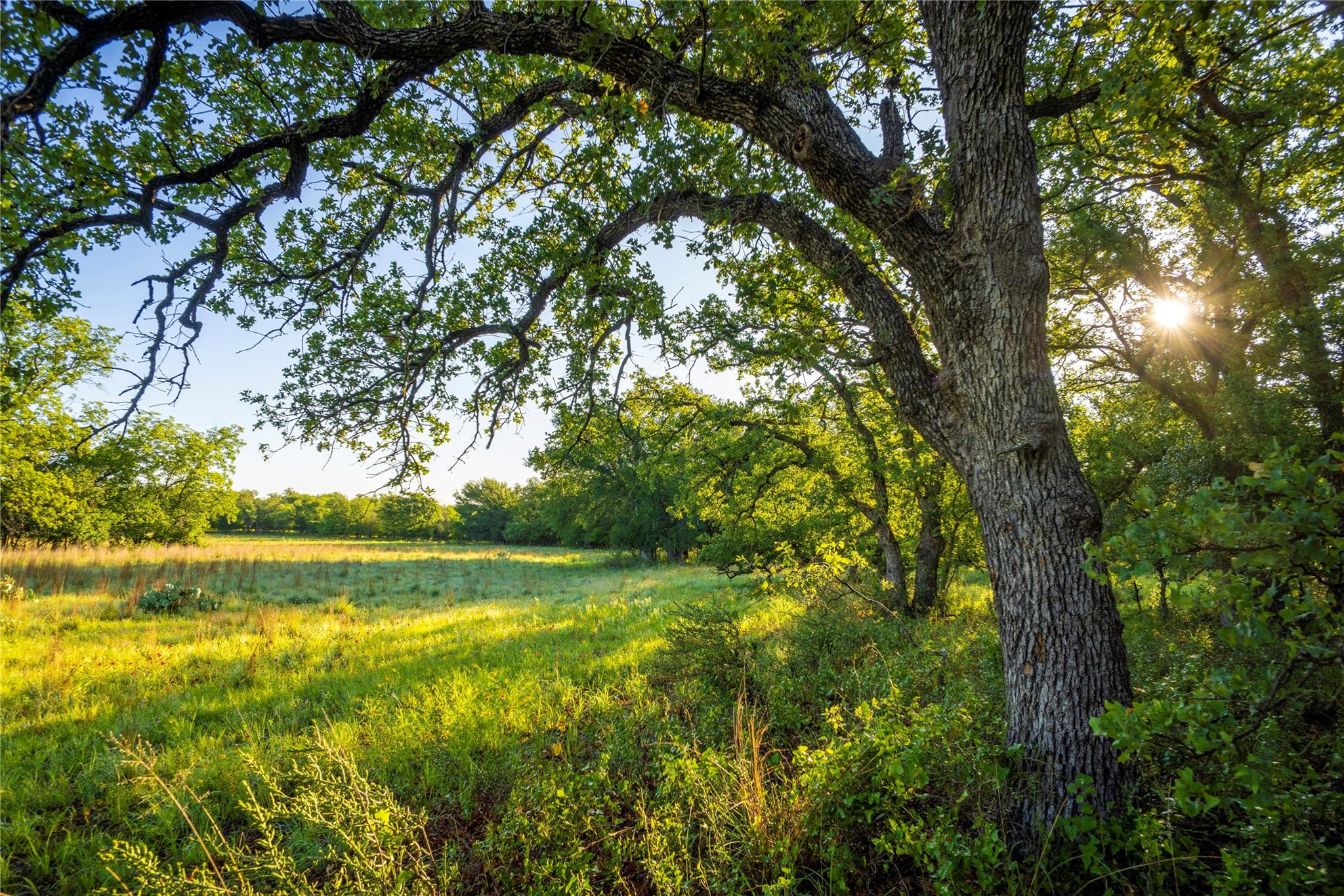 Tbd Cr 260 None Property Photo 16