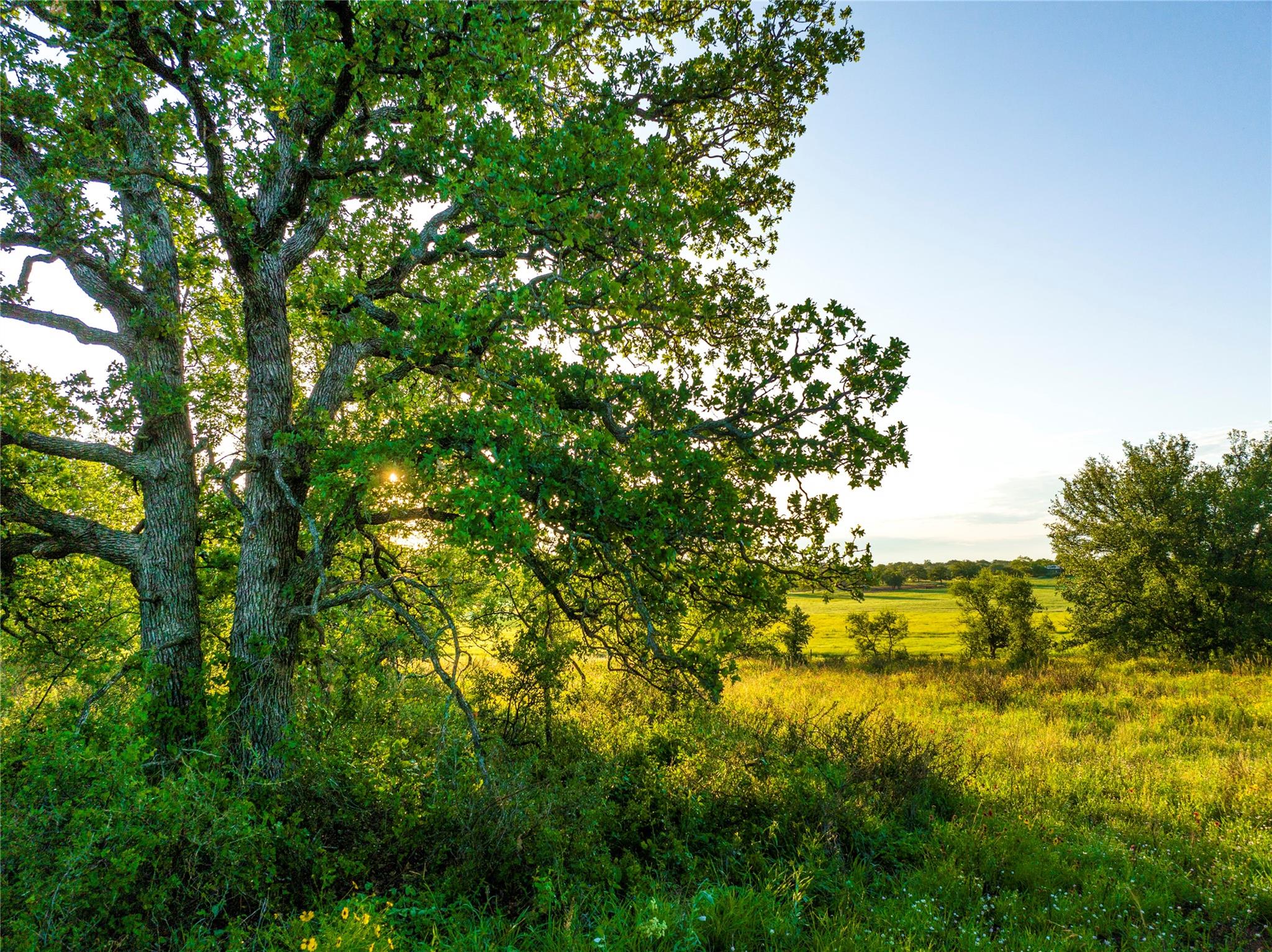 Tbd Cr 260 None Property Photo 17