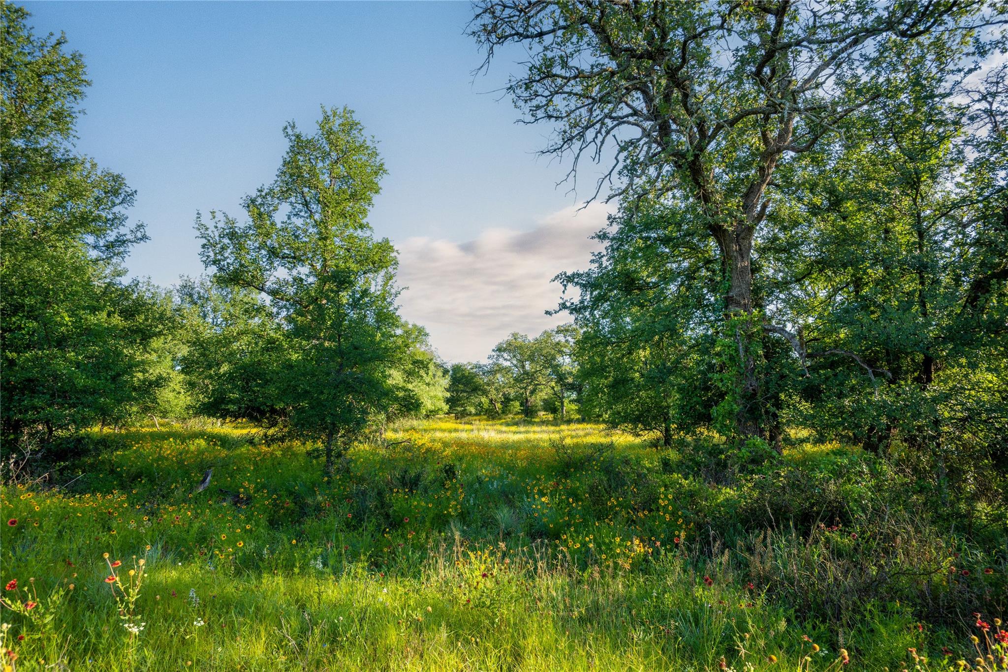 Tbd Cr 260 None Property Photo 18