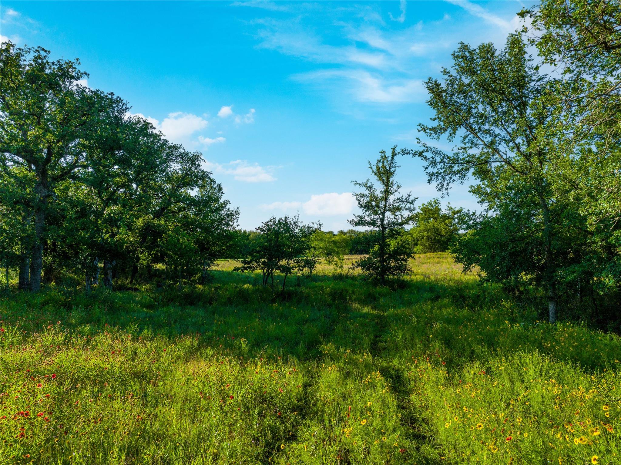 Tbd Cr 260 None Property Photo 24