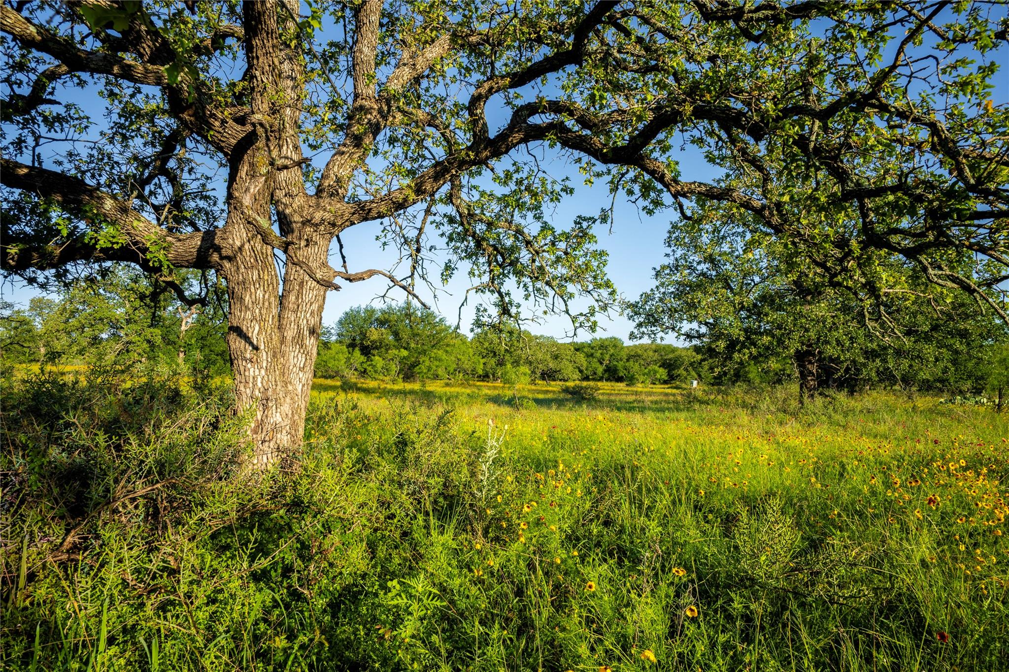 Tbd Cr 260 None Property Photo 27