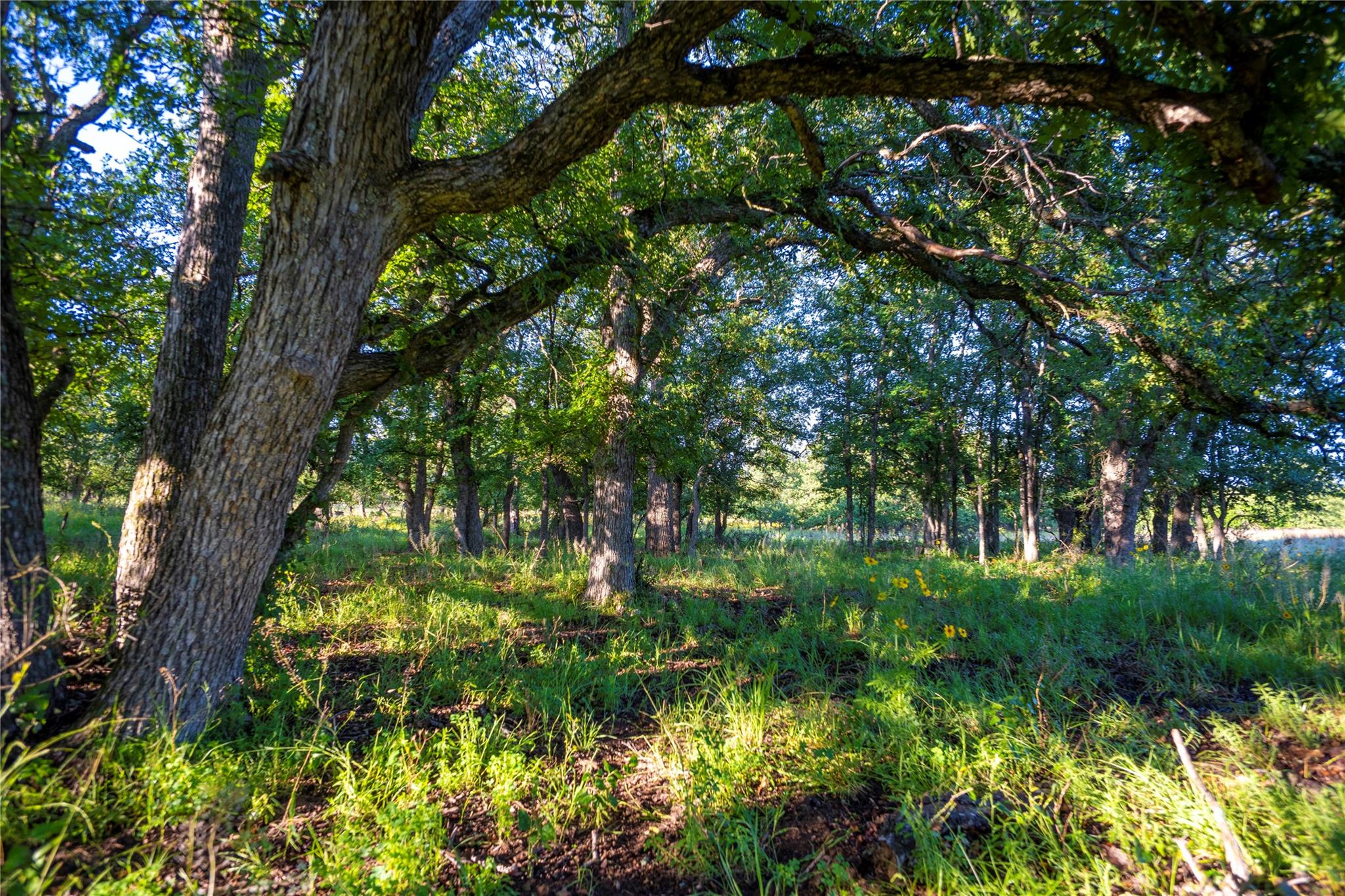 Tbd Cr 260 None Property Photo 28