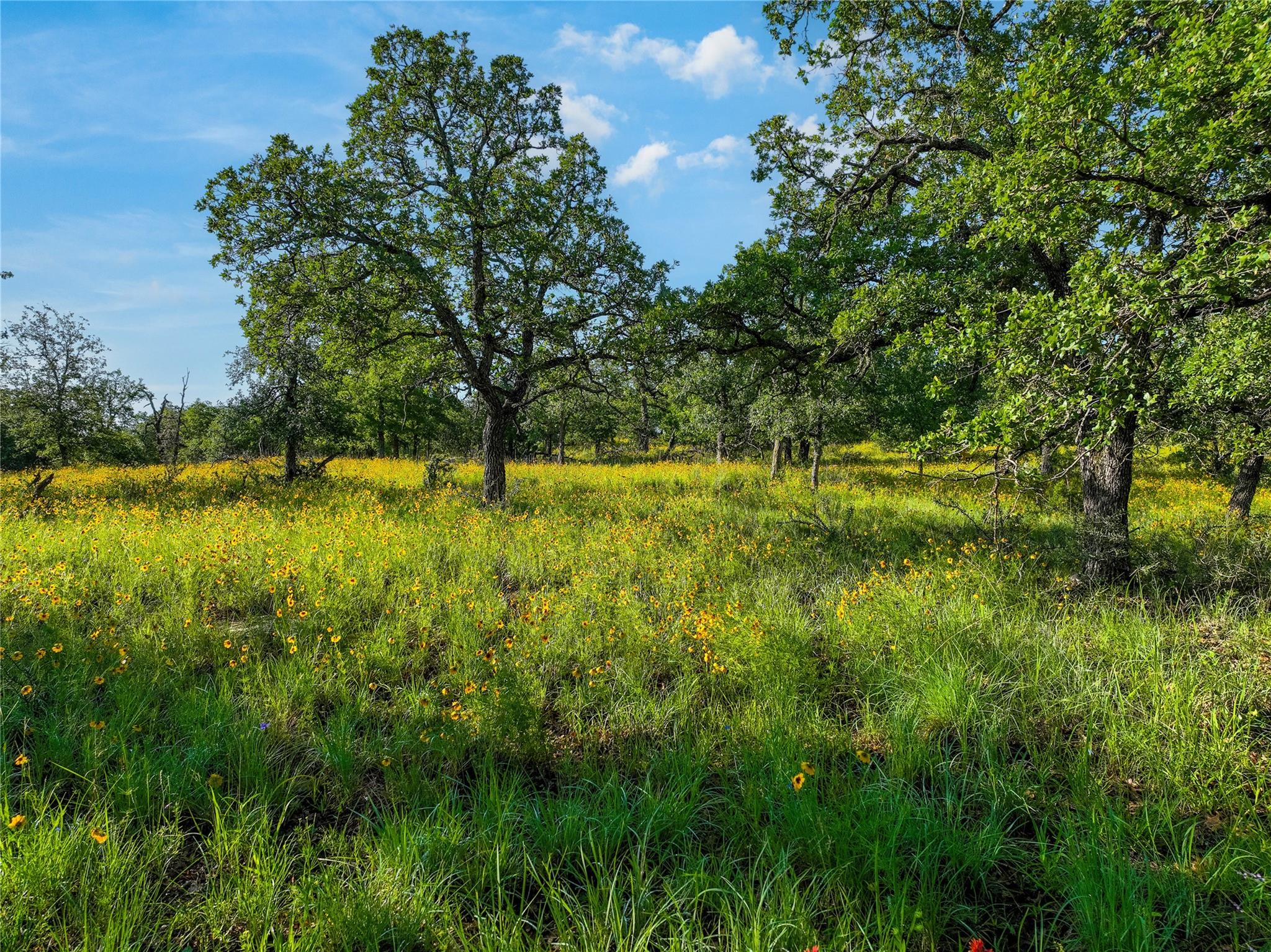 Tbd Cr 260 None Property Photo 34