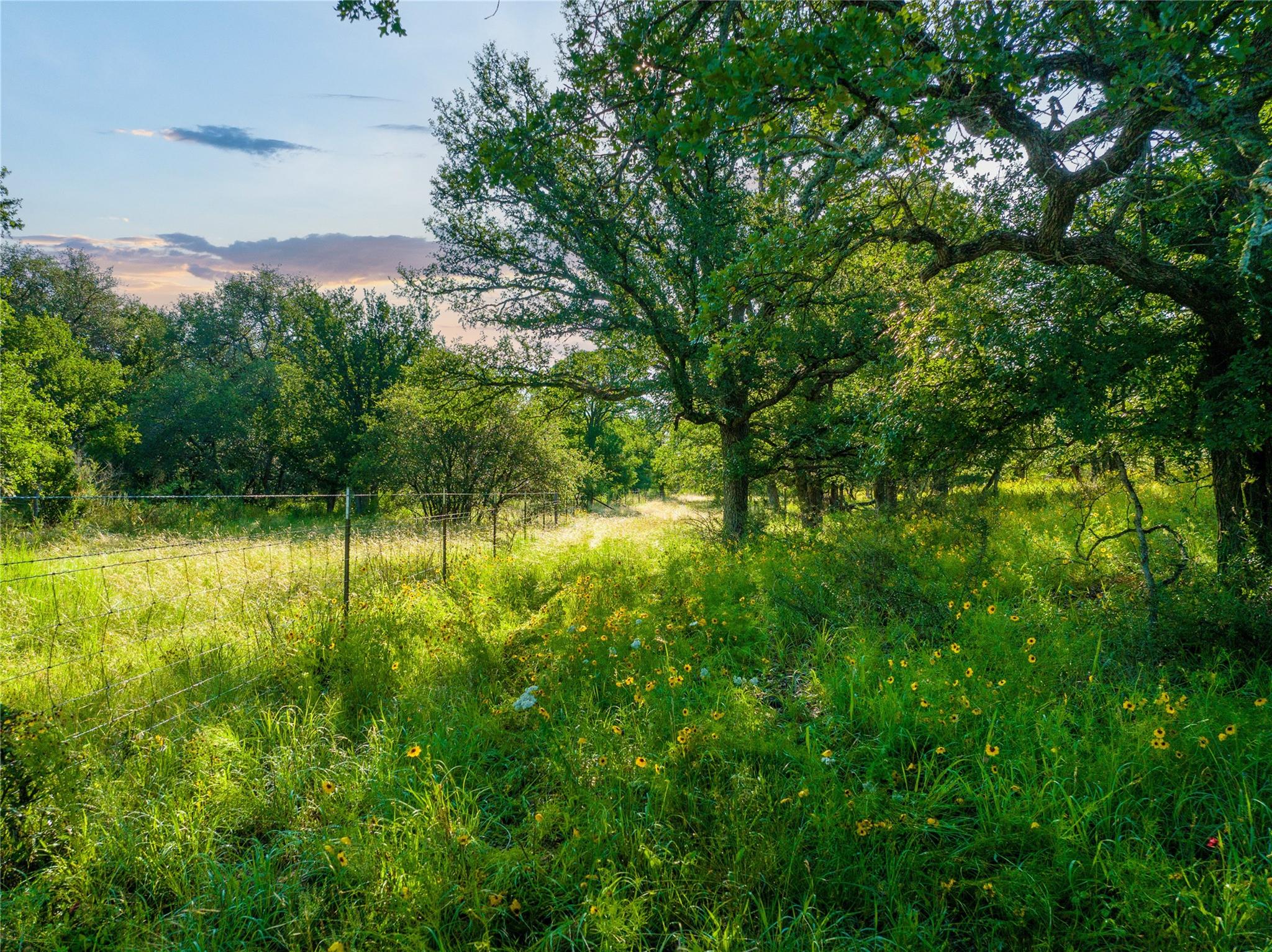 Tbd Cr 260 None Property Photo 36