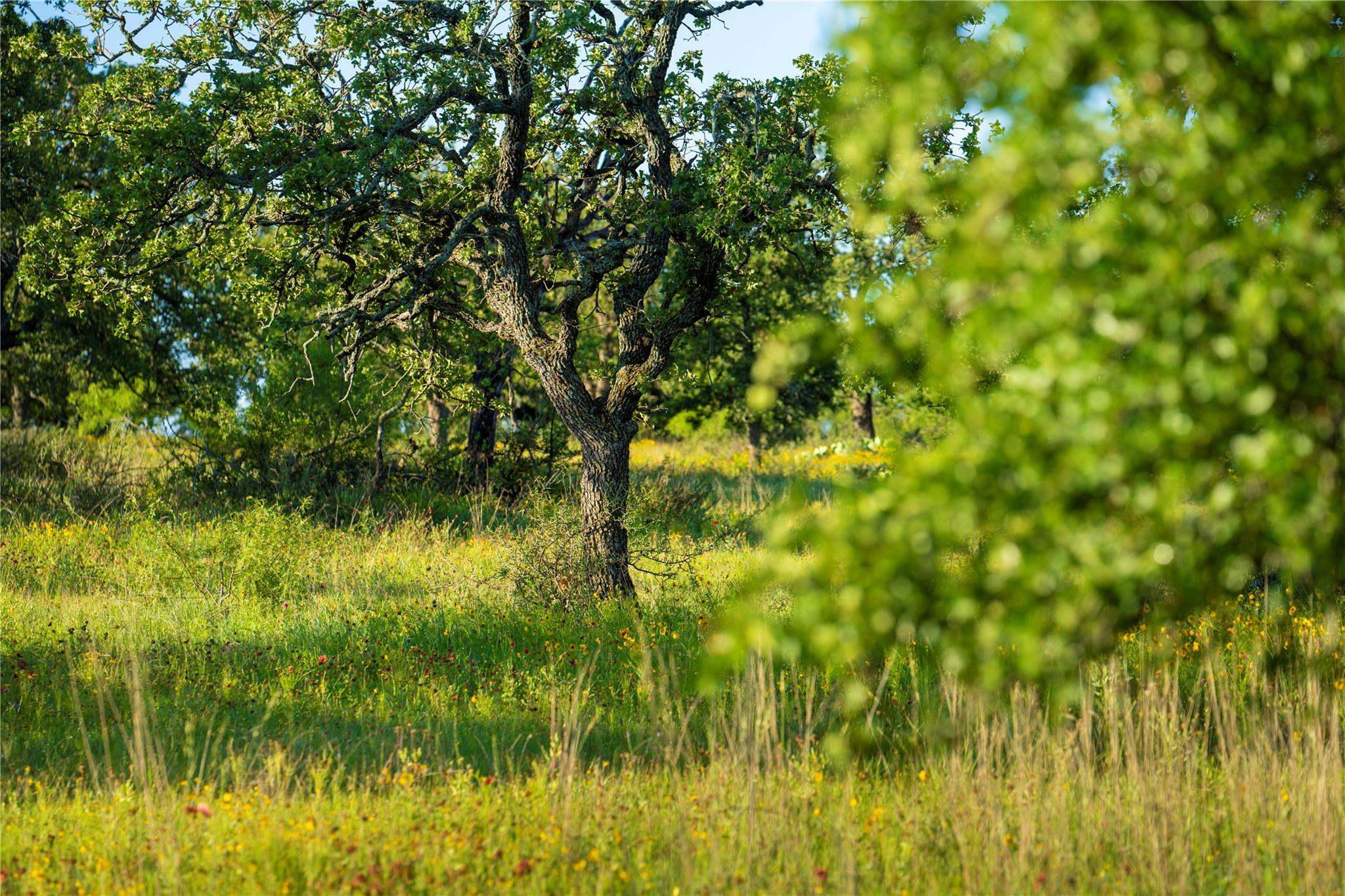 Tbd Cr 260 None Property Photo 37