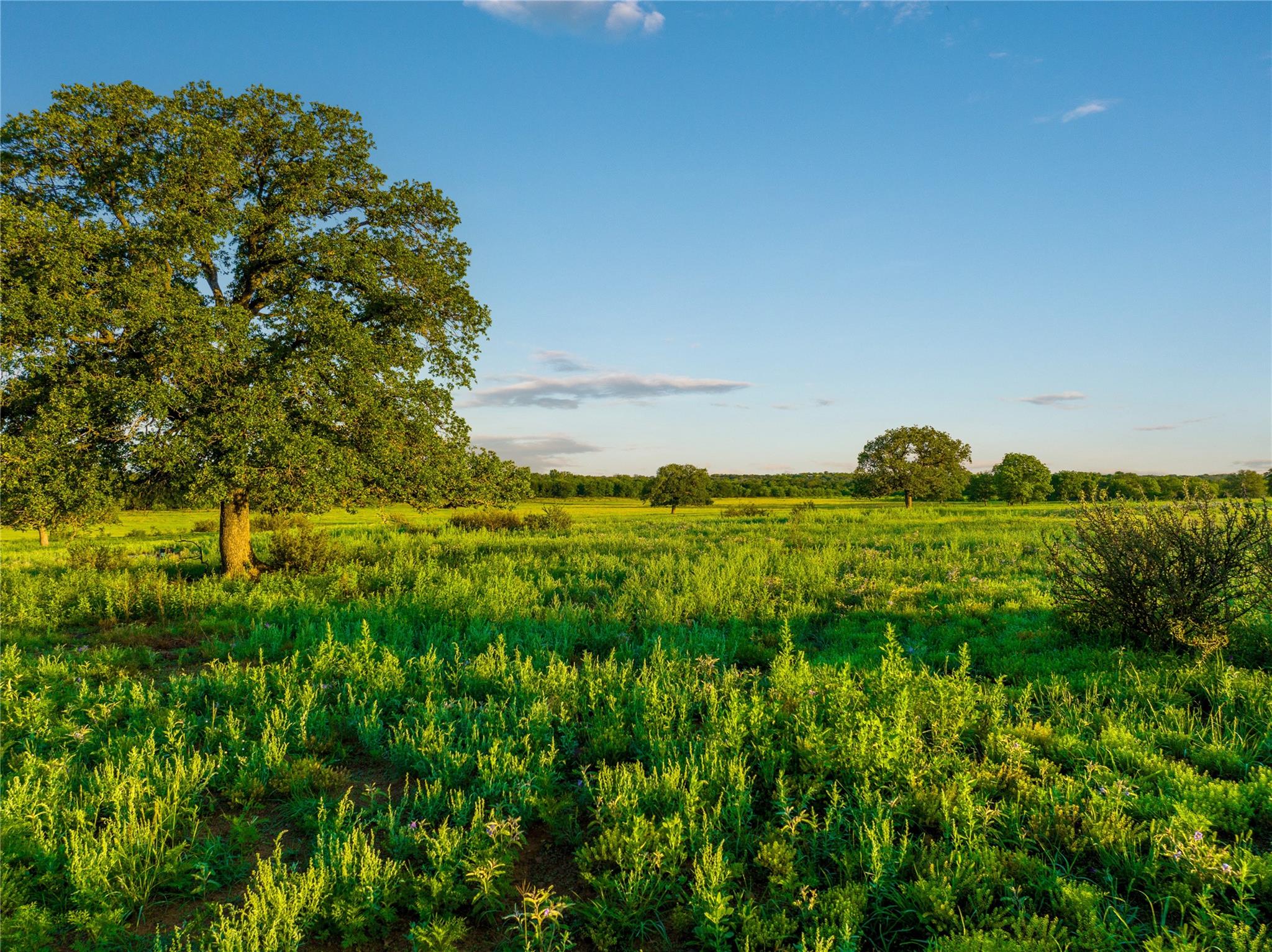 Tbd Cr 260 None Property Photo 38