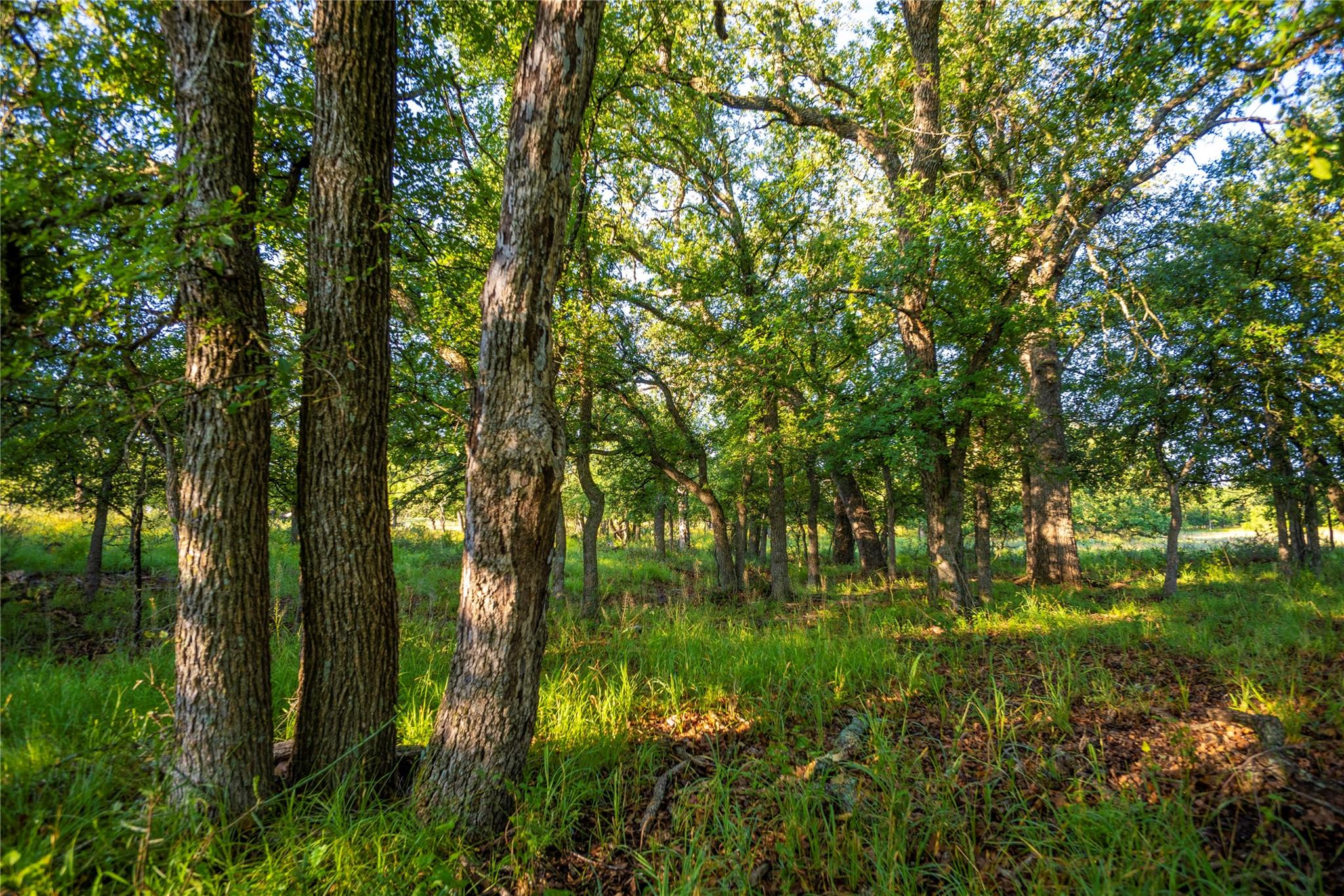 Tbd Cr 260 None Property Photo 39