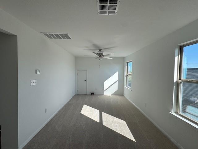 365 Papaya Dr Property Photo 19