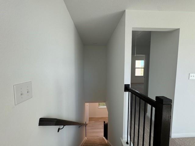 365 Papaya Dr Property Photo 20