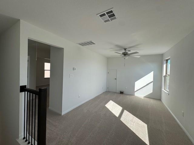 365 Papaya Dr Property Photo 25