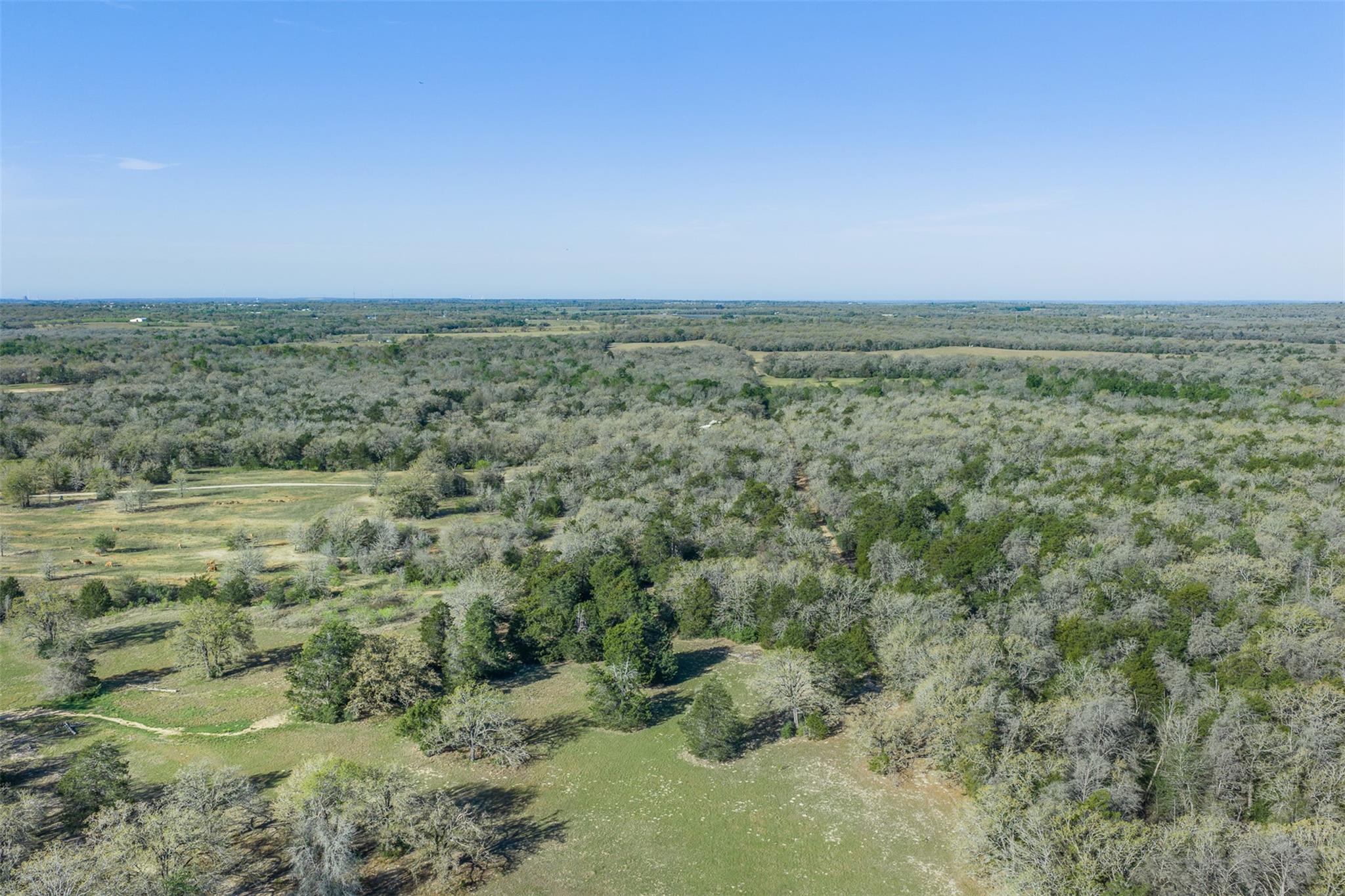 2313 E Us Highway 79 None Property Photo 23