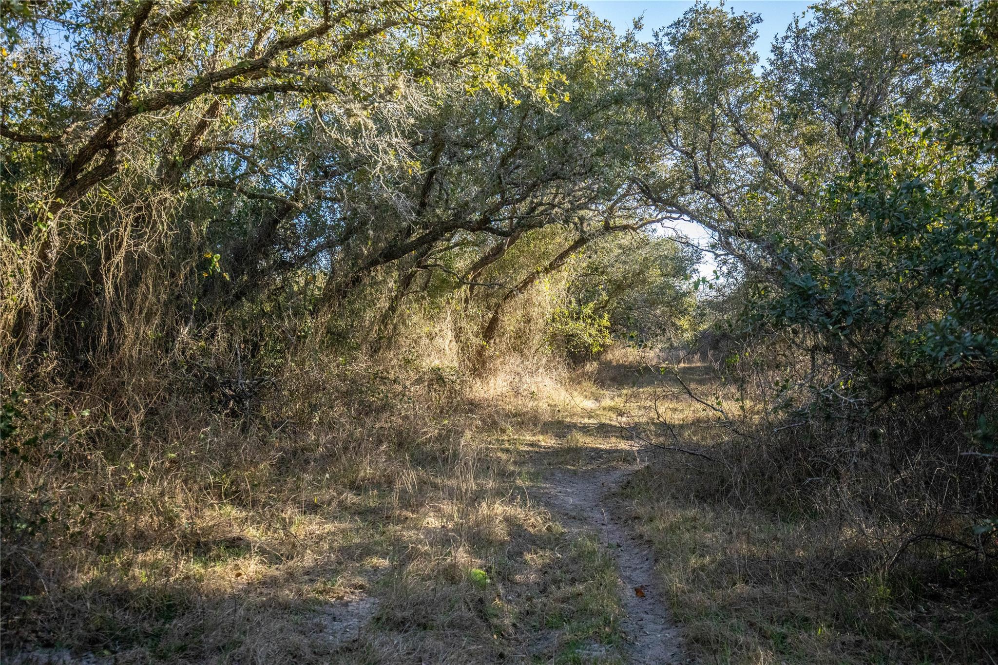 6498 N Hwy 35 None Property Photo 14