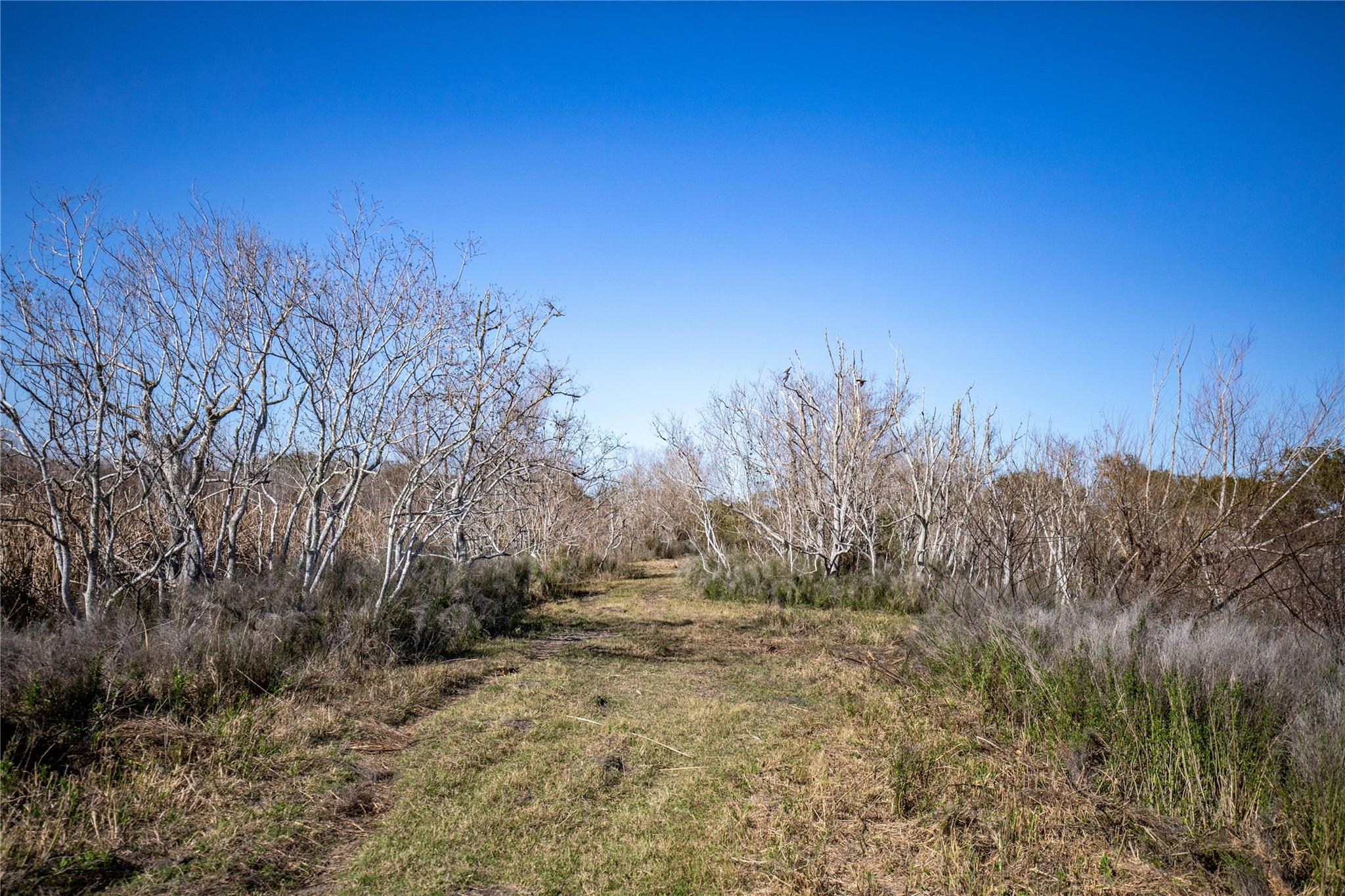 6498 N Hwy 35 None Property Photo 20