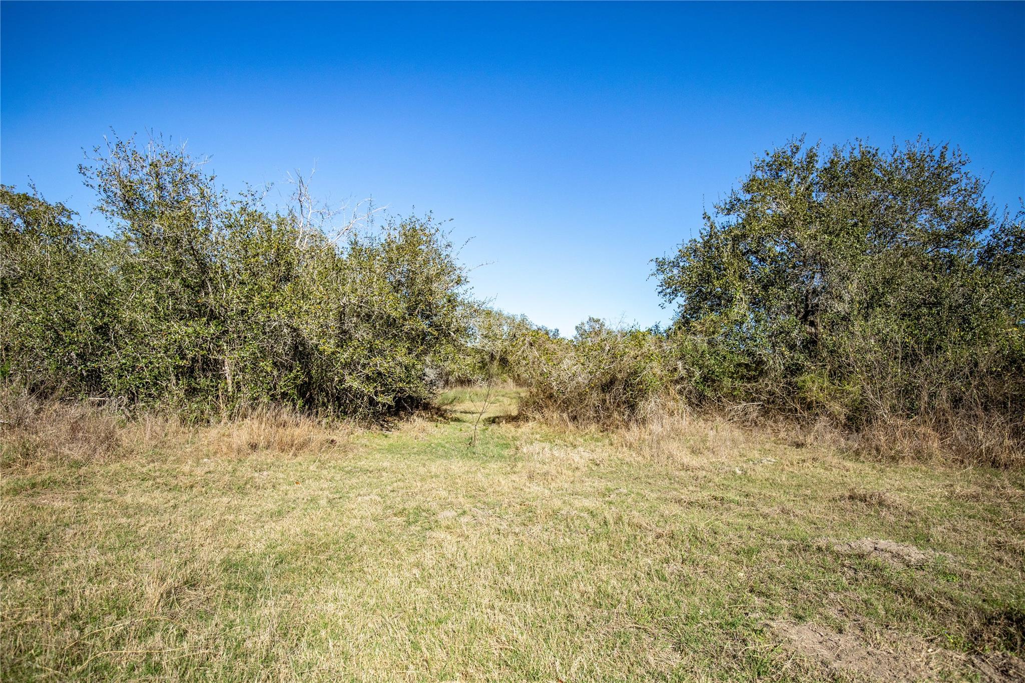 6498 N Hwy 35 None Property Photo 24