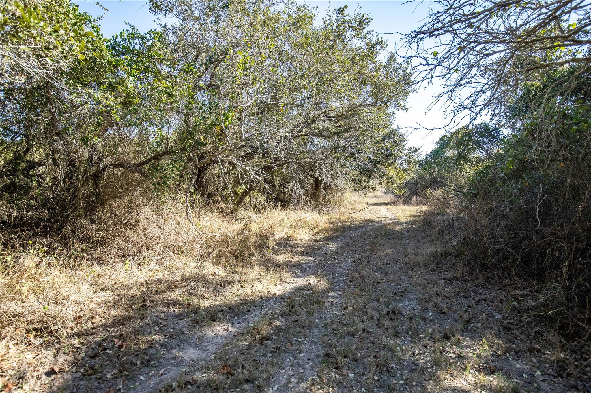 6498 N Hwy 35 None Property Photo 25