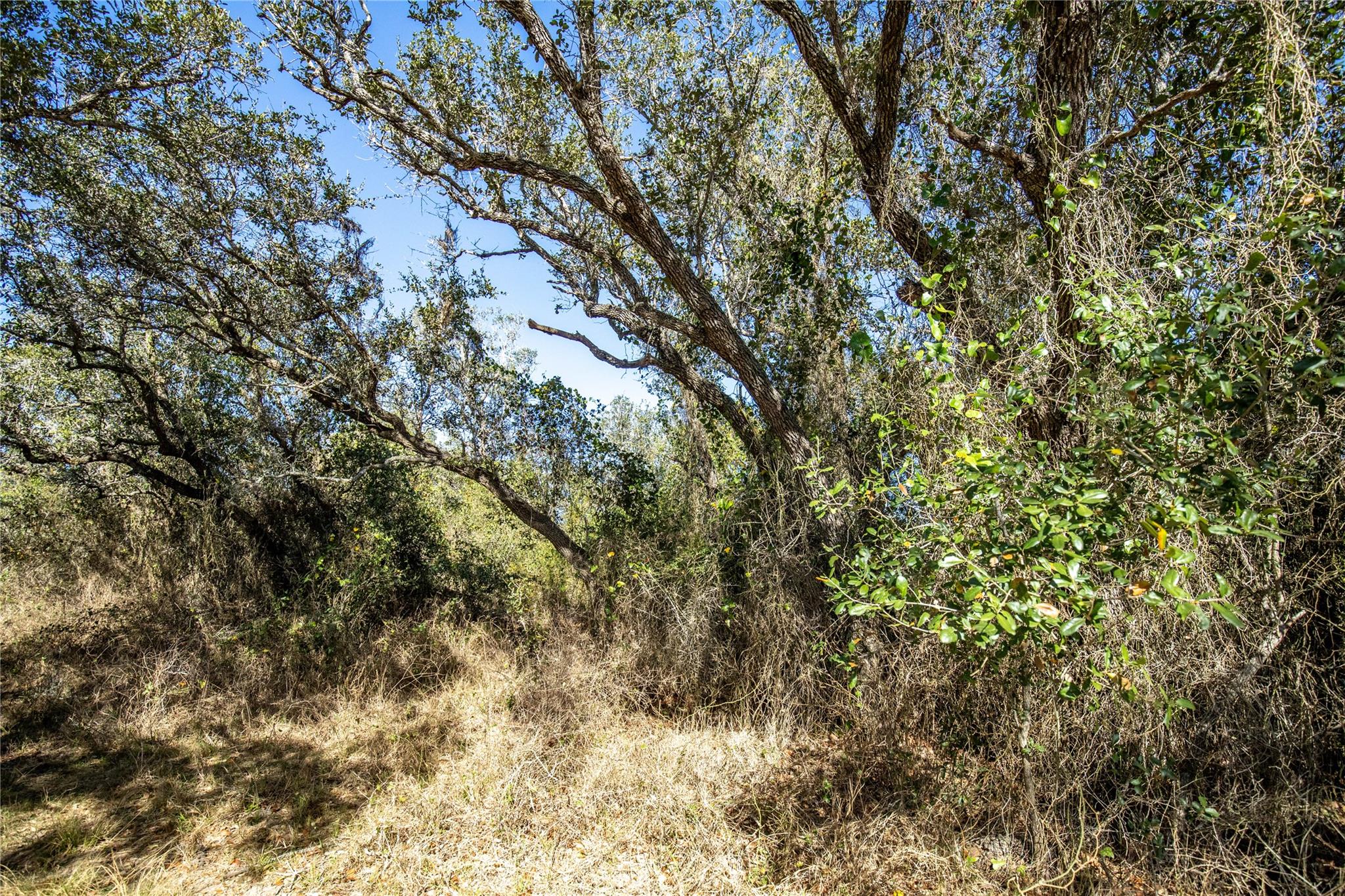 6498 N Hwy 35 None Property Photo 26