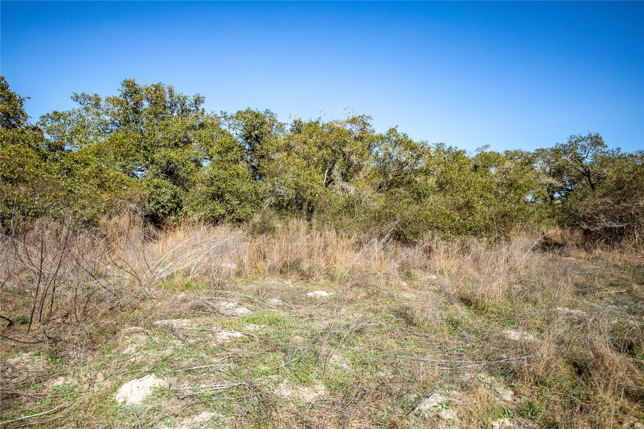 6498 N Hwy 35 None Property Photo 28