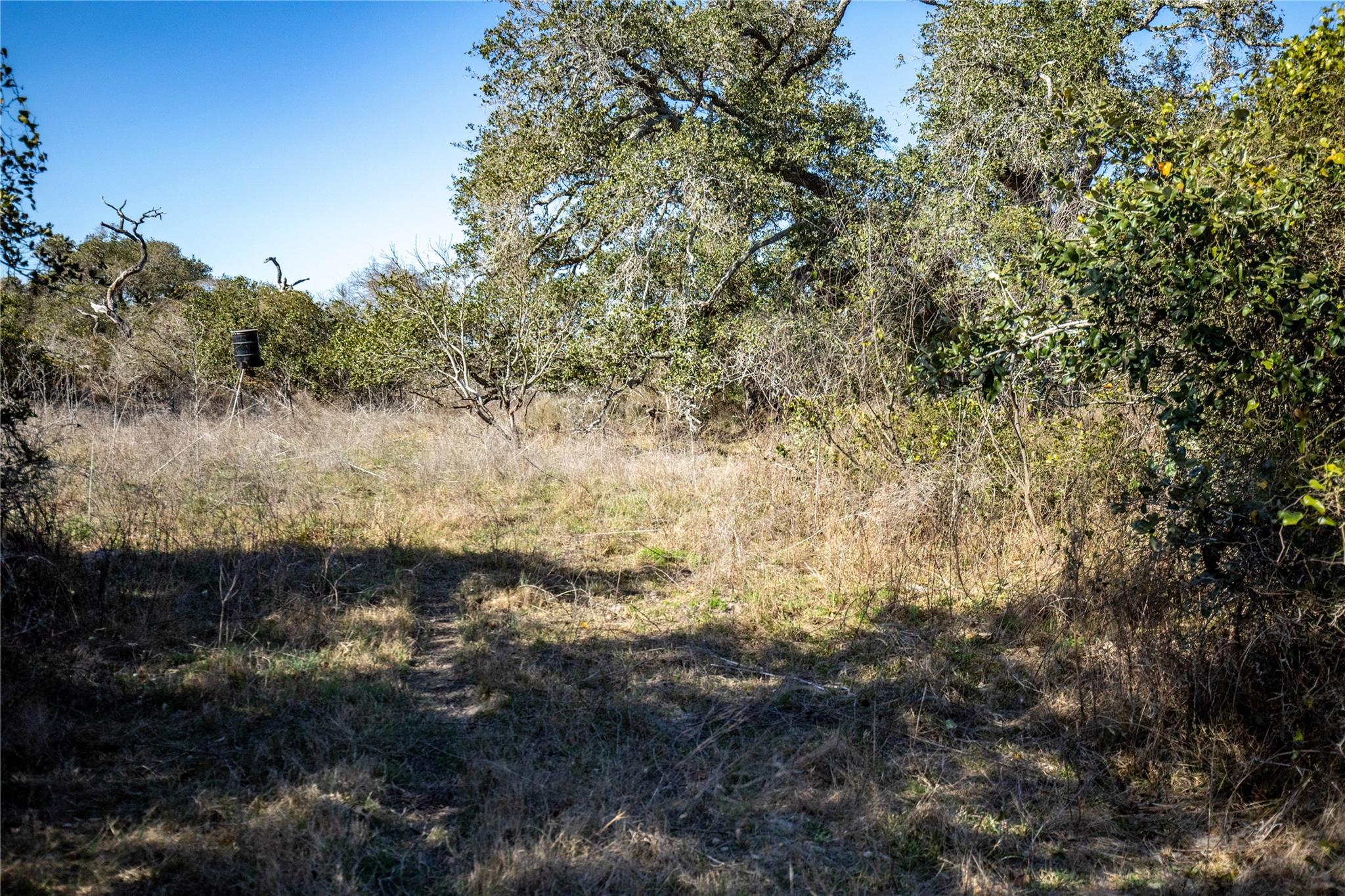6498 N Hwy 35 None Property Photo 29