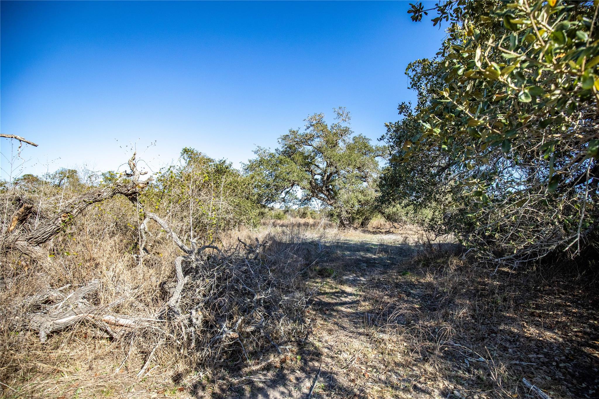 6498 N Hwy 35 None Property Photo 32