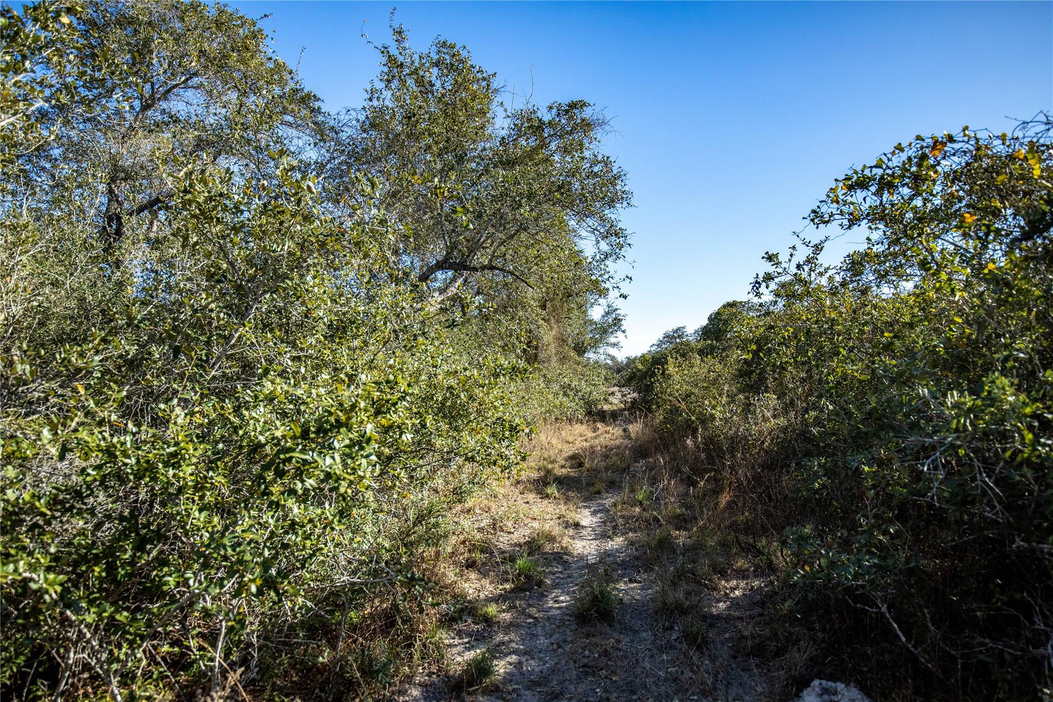 6498 N Hwy 35 None Property Photo 34
