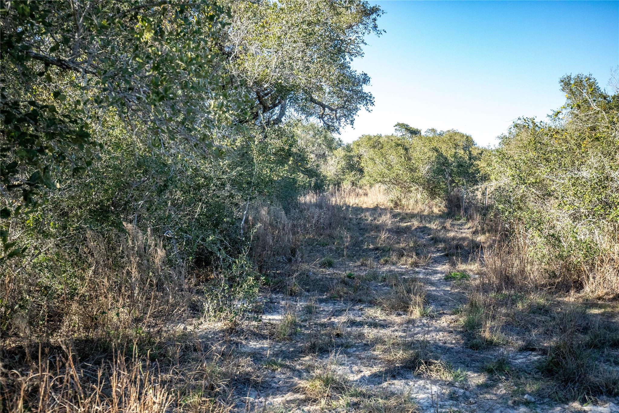 6498 N Hwy 35 None Property Photo 35