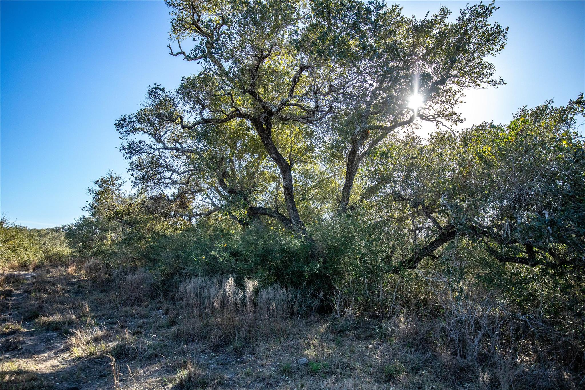 6498 N Hwy 35 None Property Photo 38