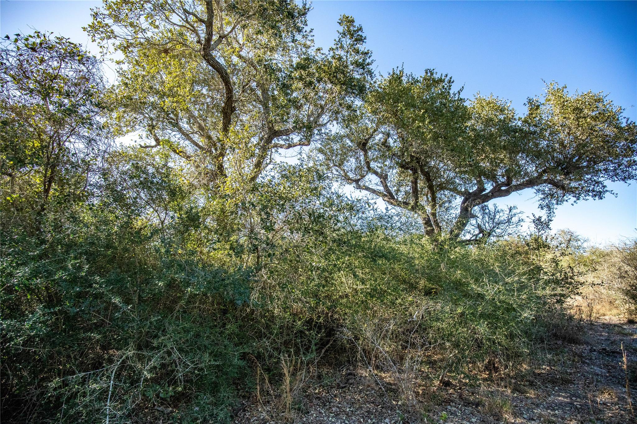 6498 N Hwy 35 None Property Photo 39
