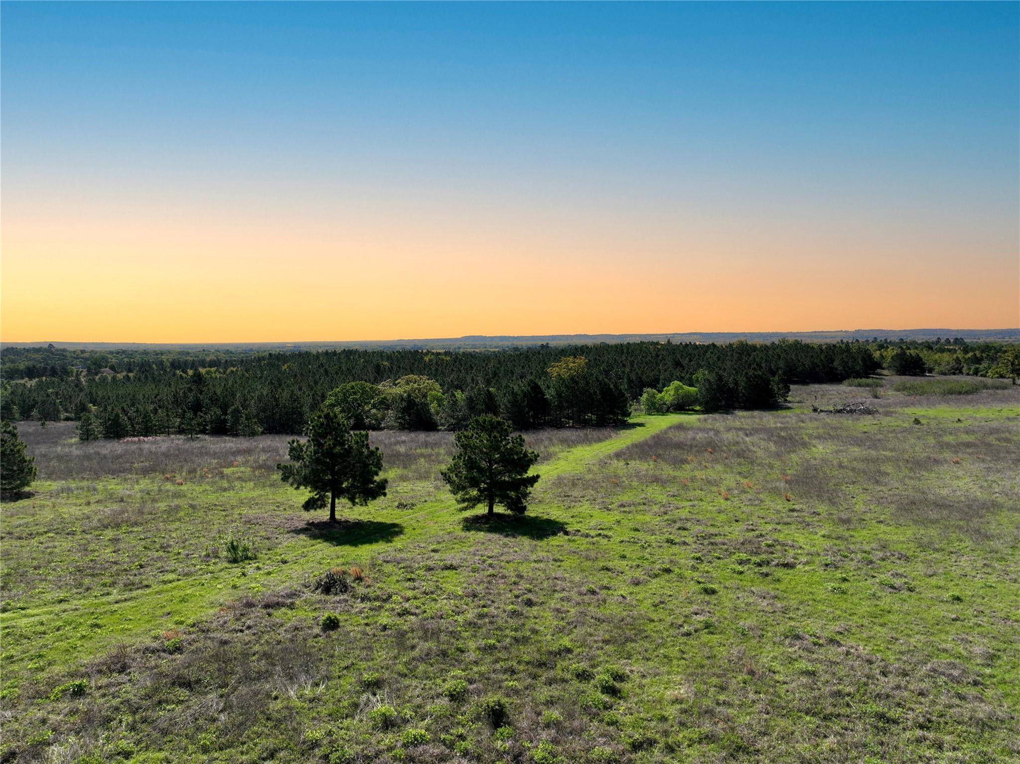 Tbd Crafts Prairie Rd Property Photo 4