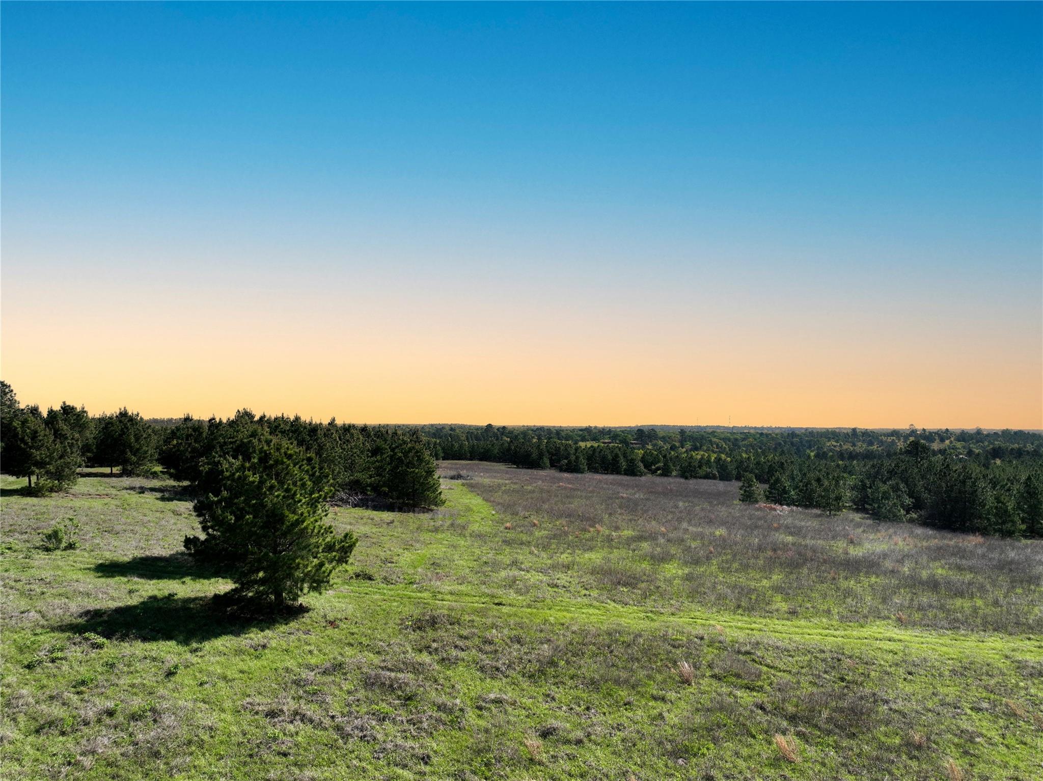 Tbd Crafts Prairie Rd Property Photo 6