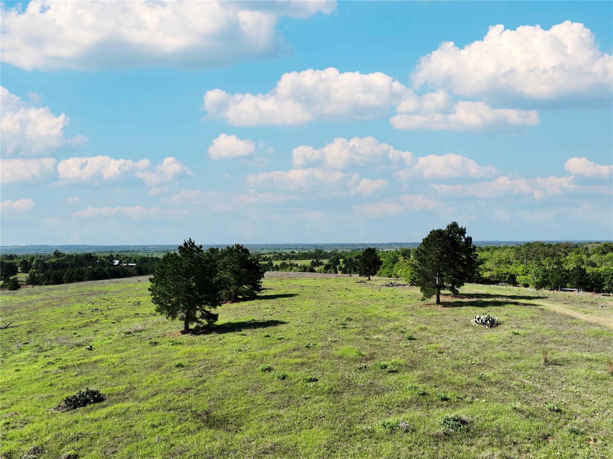 Tbd Crafts Prairie Rd Property Photo 8