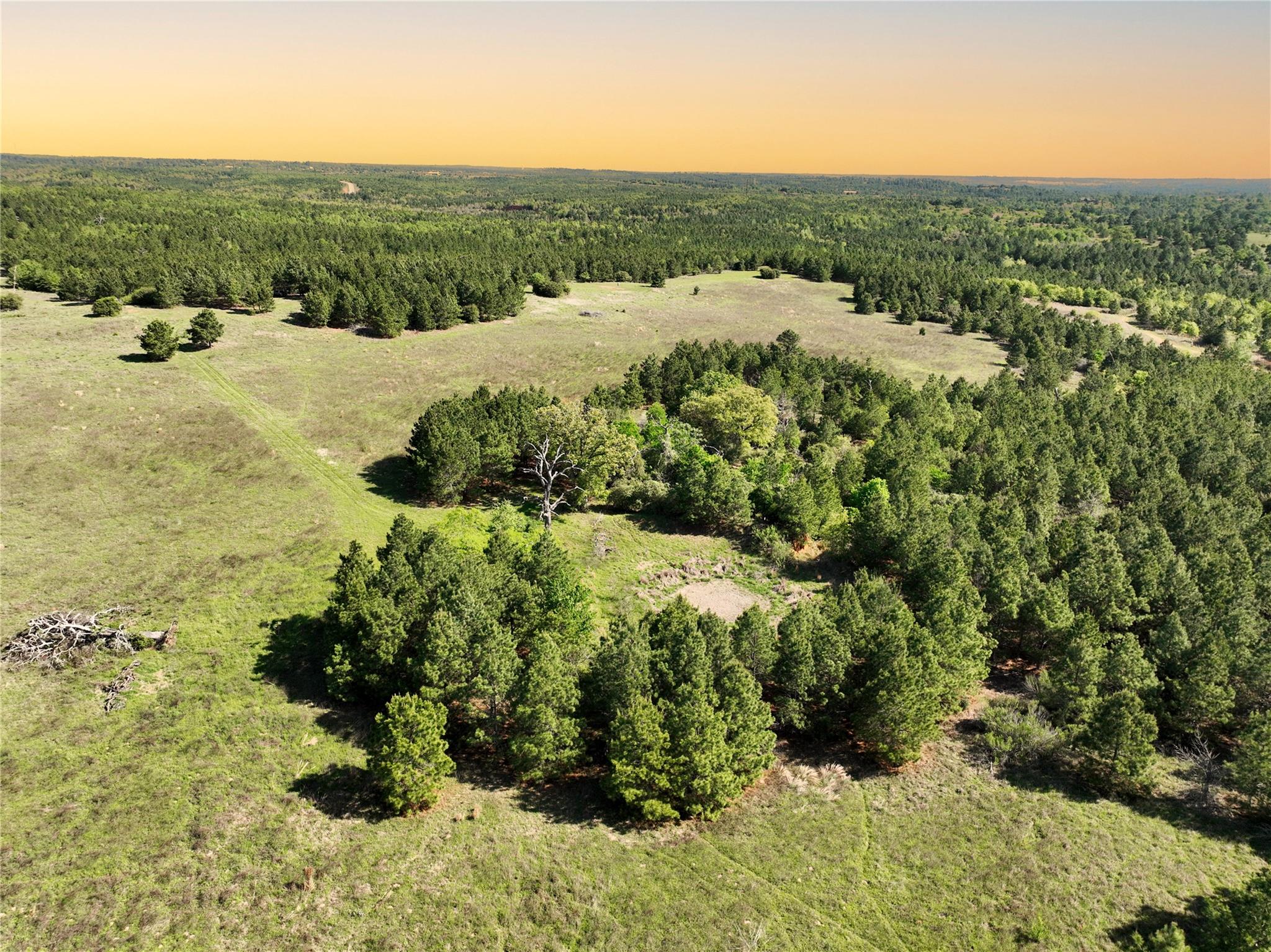 Tbd Crafts Prairie Rd Property Photo 17