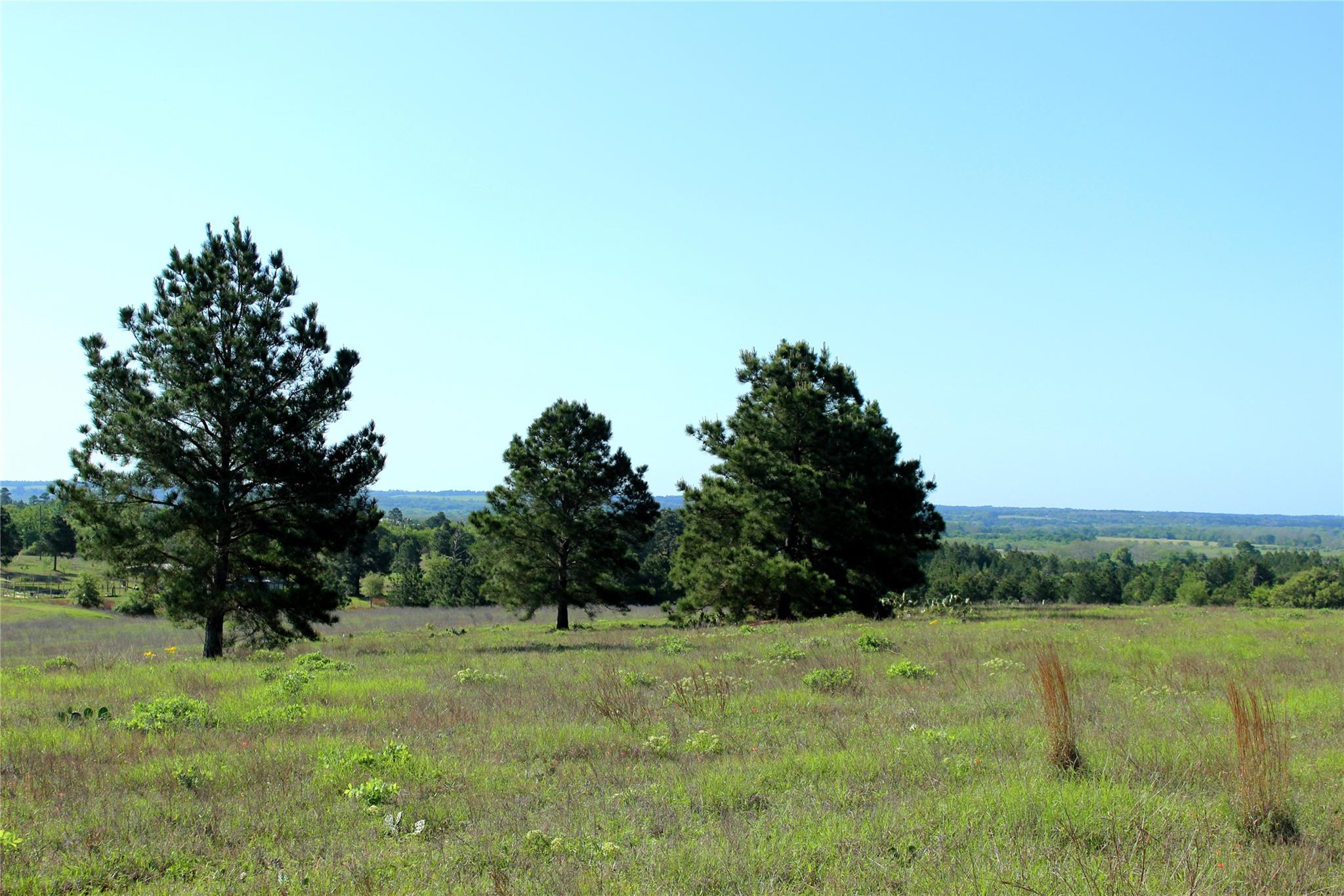 Tbd Crafts Prairie Rd Property Photo 27