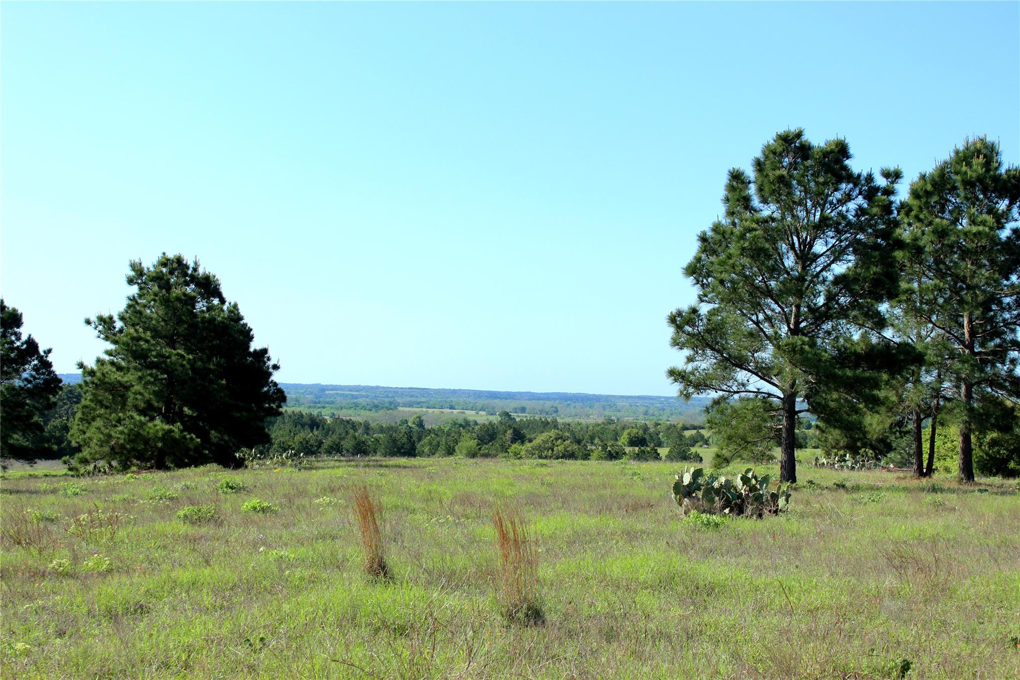 Tbd Crafts Prairie Rd Property Photo 28