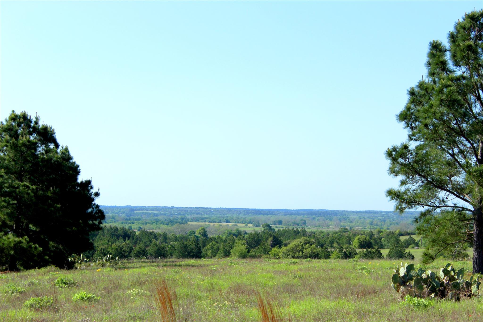Tbd Crafts Prairie Rd Property Photo 29