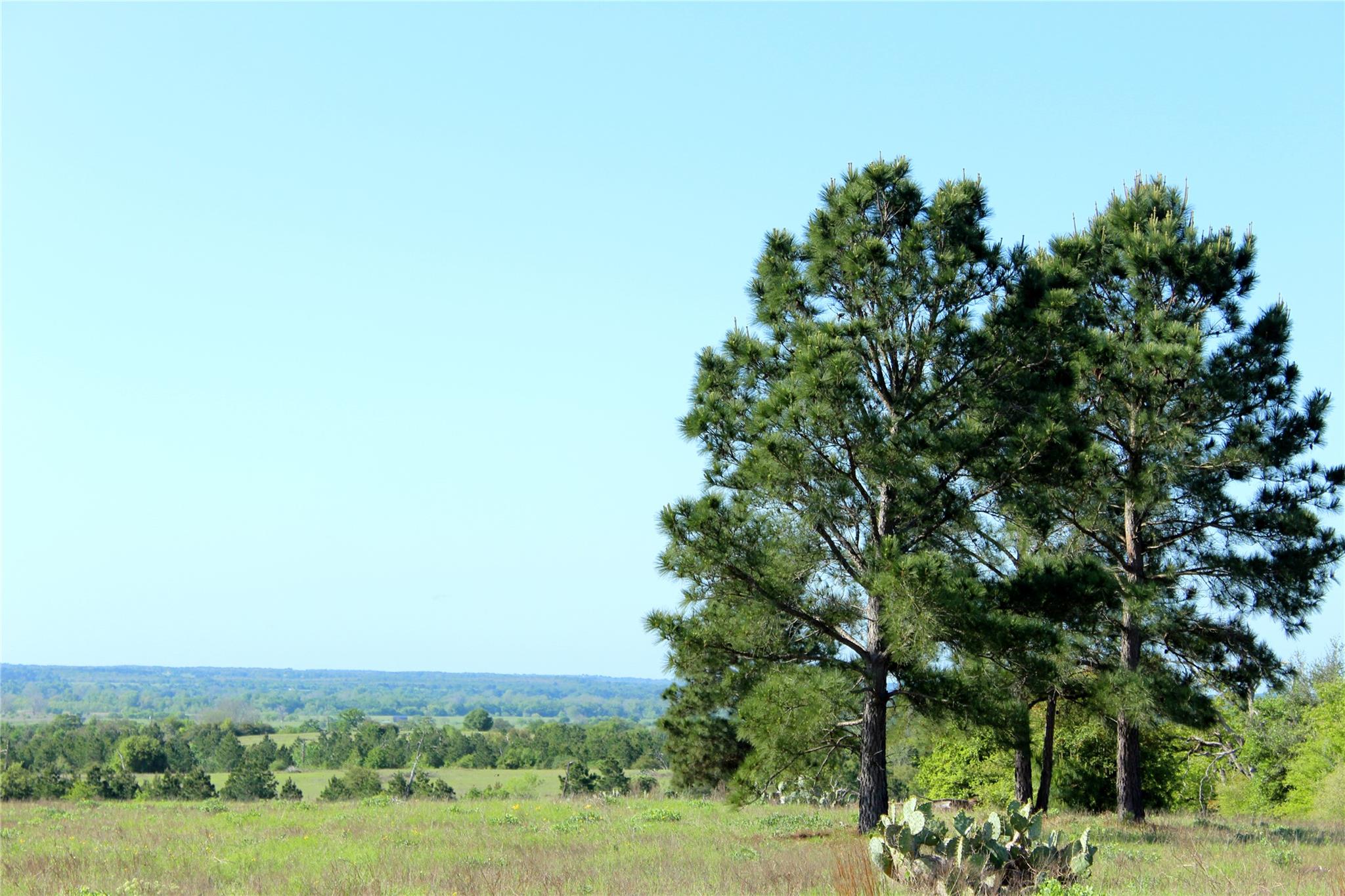 Tbd Crafts Prairie Rd Property Photo 30