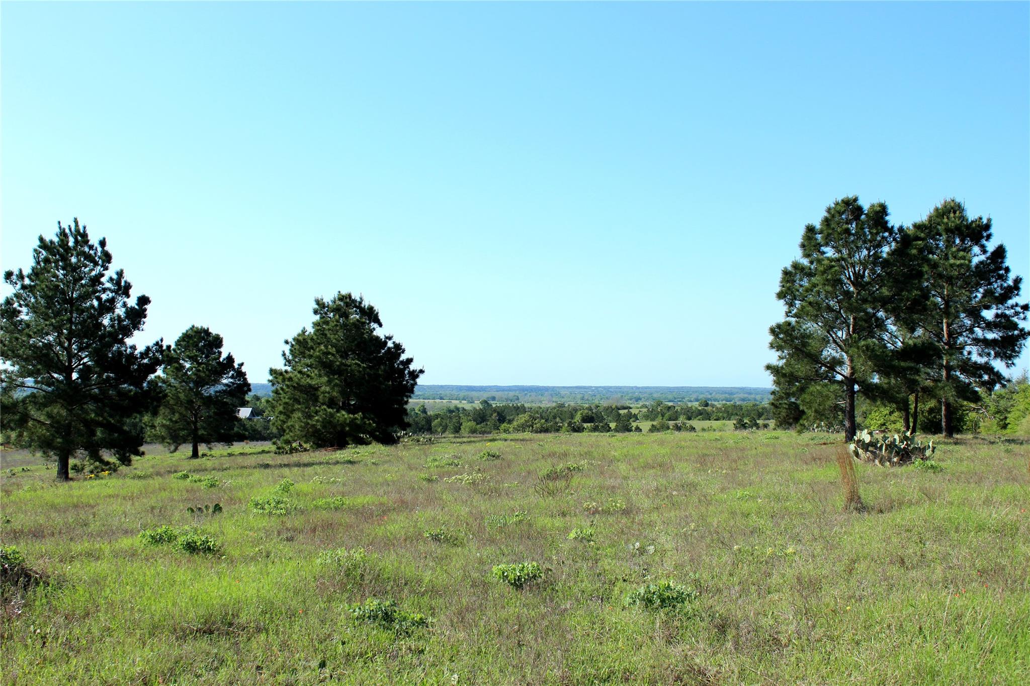 Tbd Crafts Prairie Rd Property Photo 31