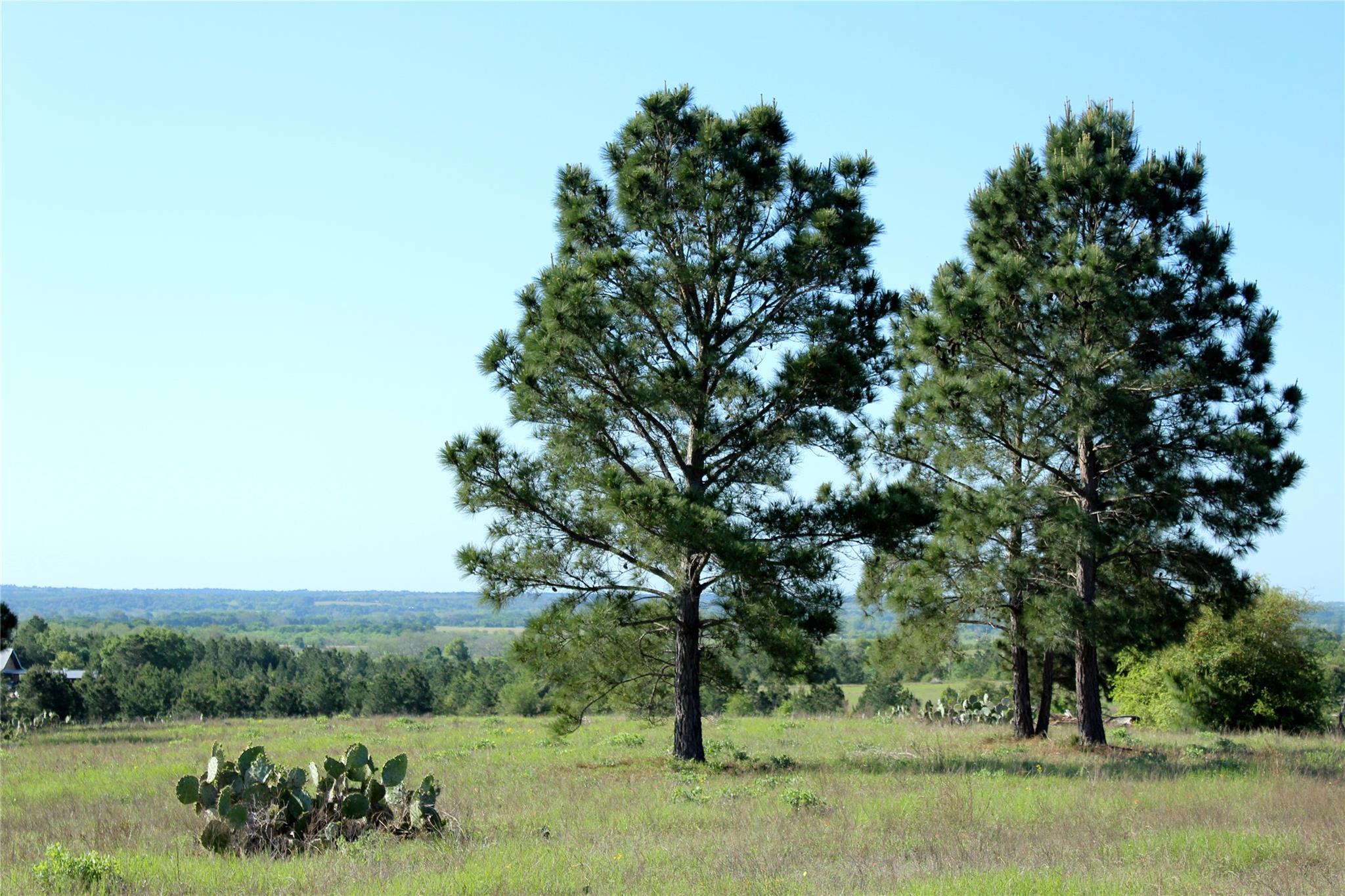 Tbd Crafts Prairie Rd Property Photo 32