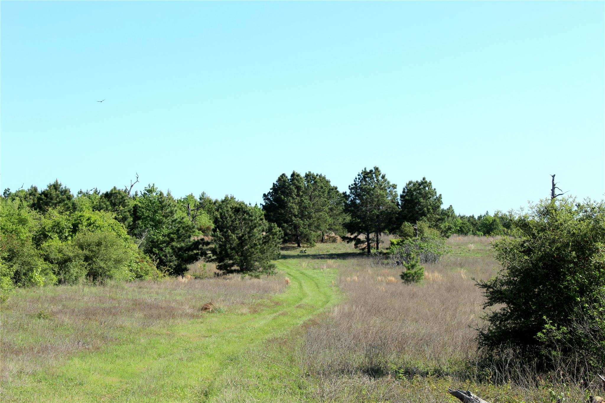 Tbd Crafts Prairie Rd Property Photo 33