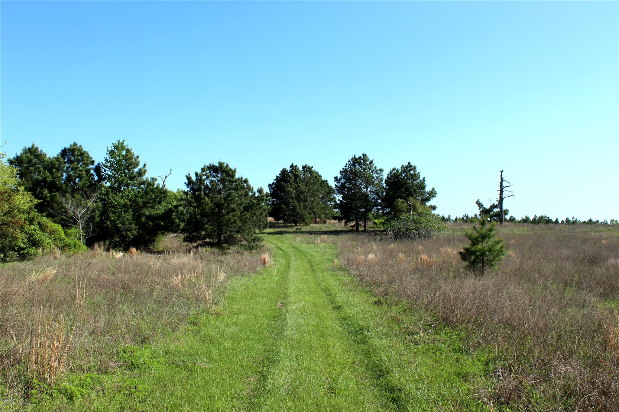 Tbd Crafts Prairie Rd Property Photo 34