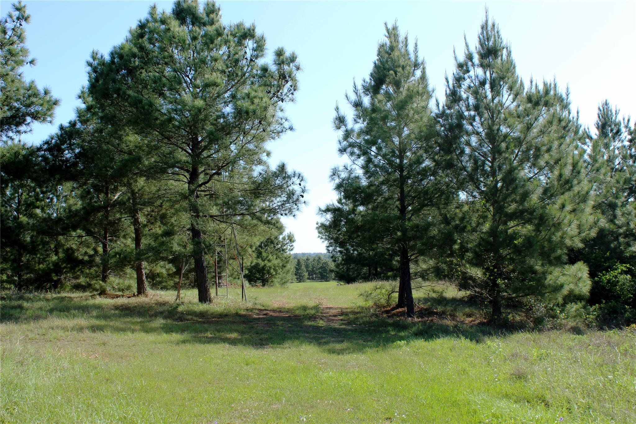 Tbd Crafts Prairie Rd Property Photo 35